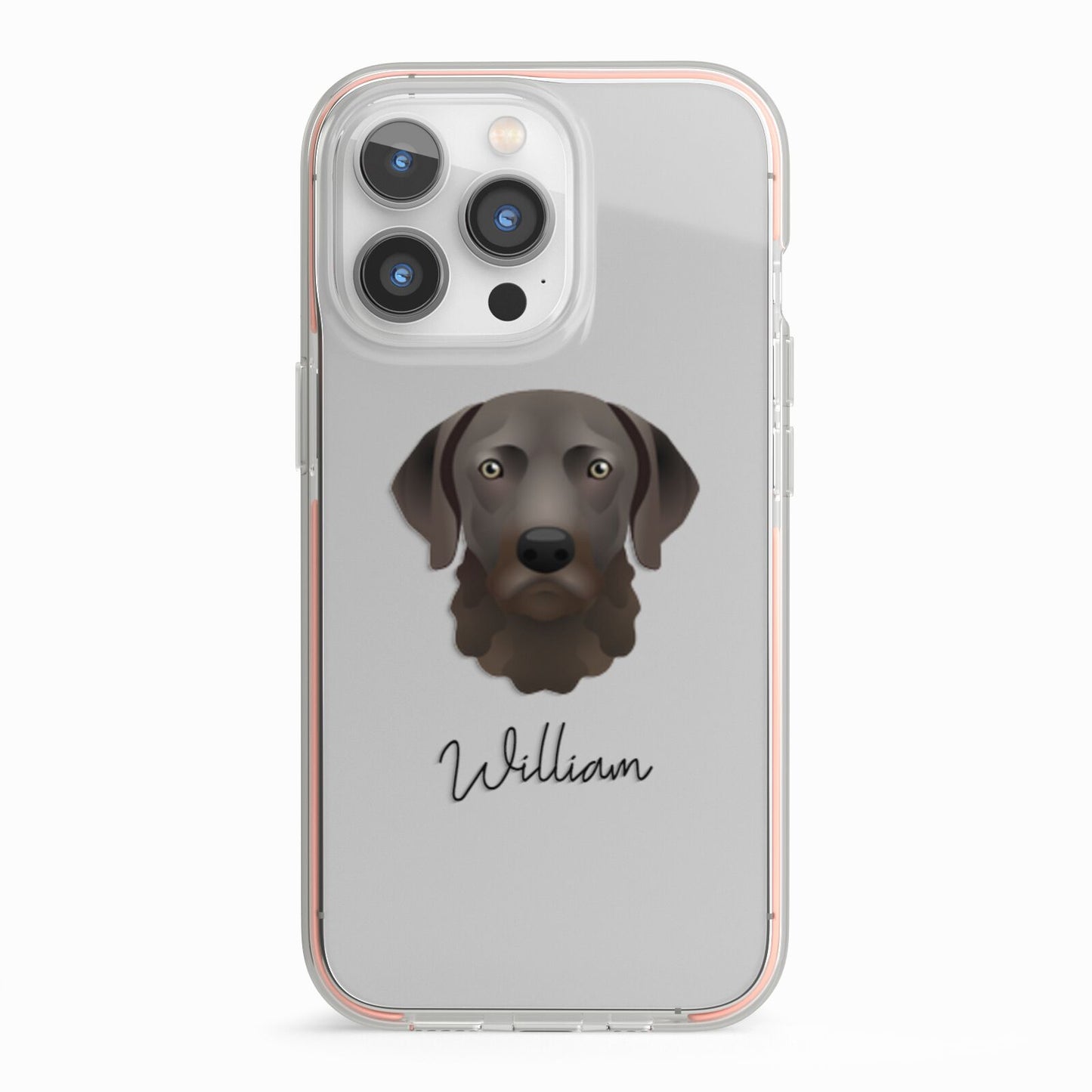 Chesapeake Bay Retriever Personalised iPhone 13 Pro TPU Impact Case with Pink Edges