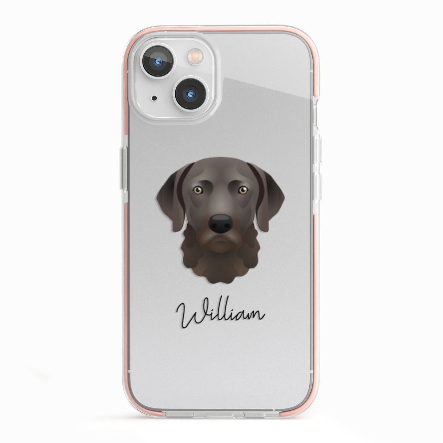 Chesapeake Bay Retriever Personalised iPhone 13 TPU Impact Case with Pink Edges