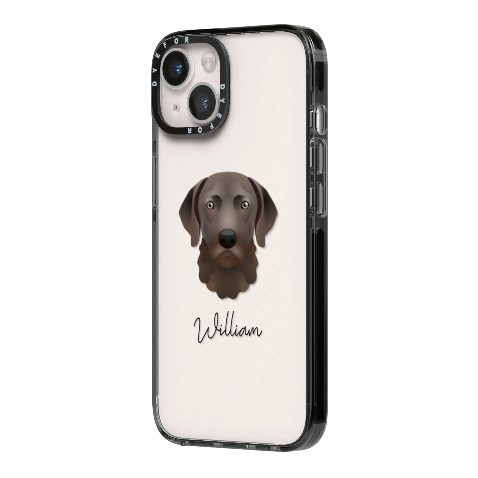 Chesapeake Bay Retriever Personalised iPhone 14 Black Impact Case Side Angle on Silver phone