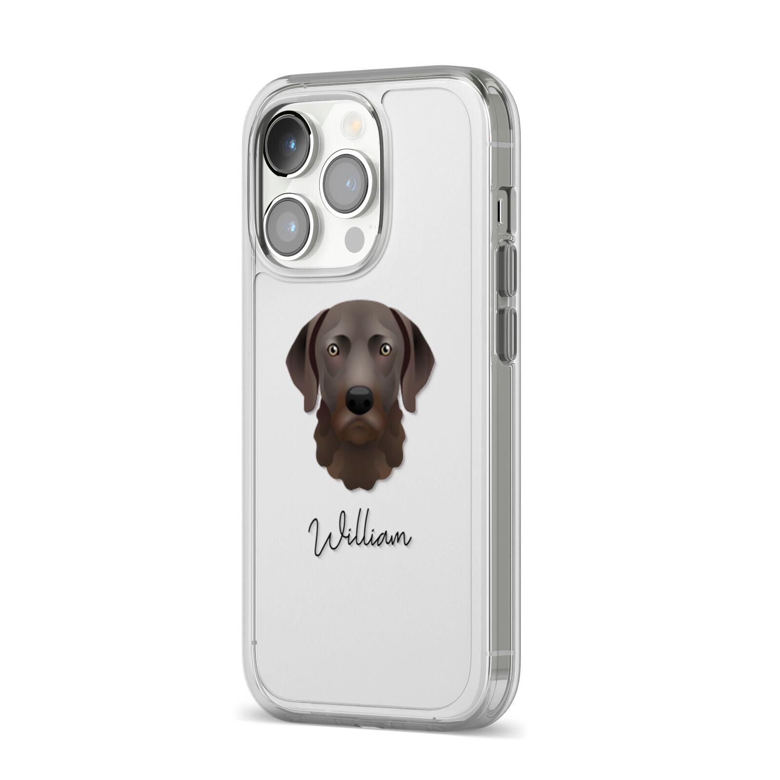 Chesapeake Bay Retriever Personalised iPhone 14 Pro Clear Tough Case Silver Angled Image