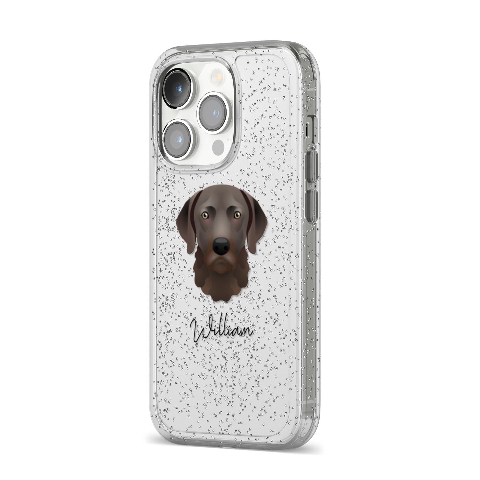 Chesapeake Bay Retriever Personalised iPhone 14 Pro Glitter Tough Case Silver Angled Image
