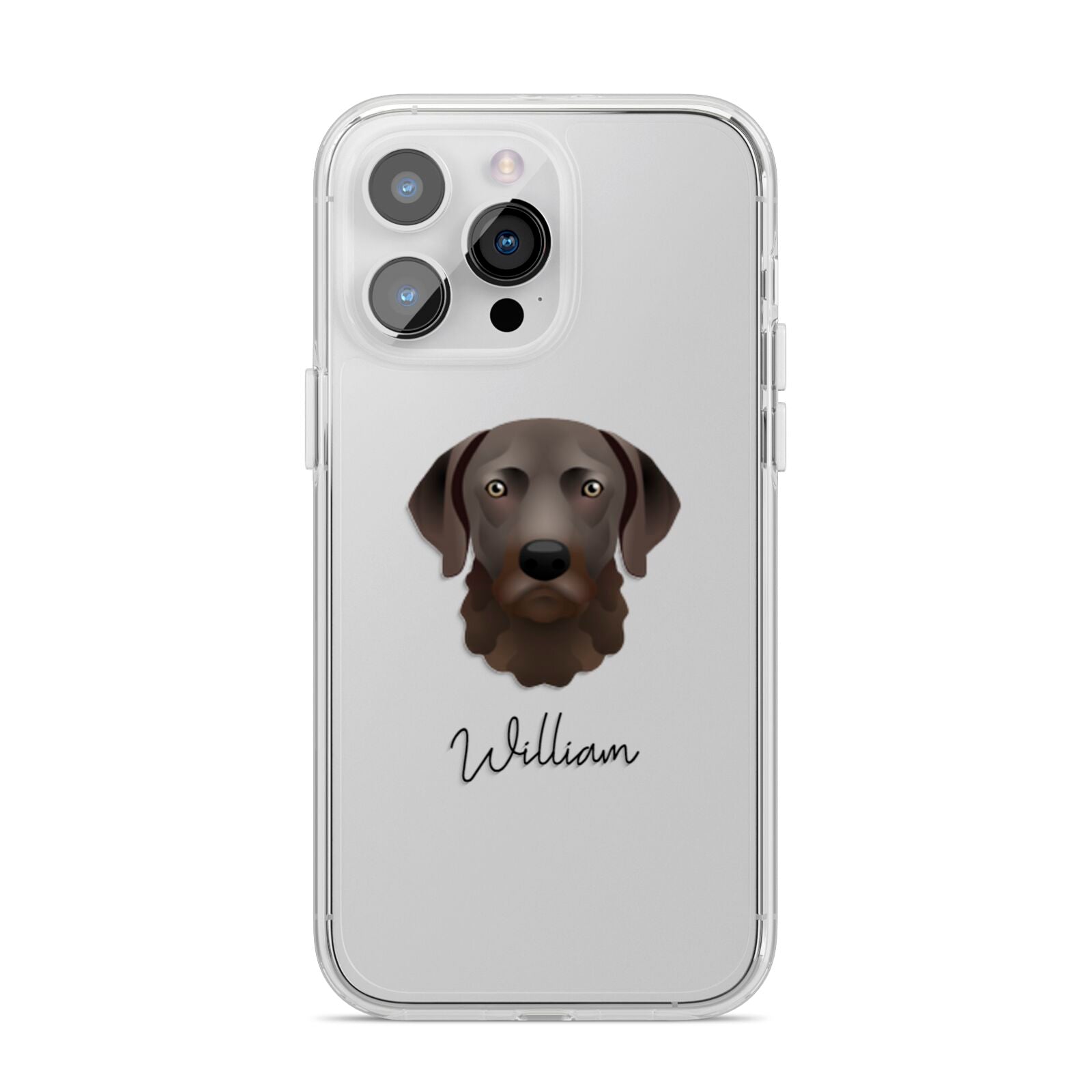 Chesapeake Bay Retriever Personalised iPhone 14 Pro Max Clear Tough Case Silver