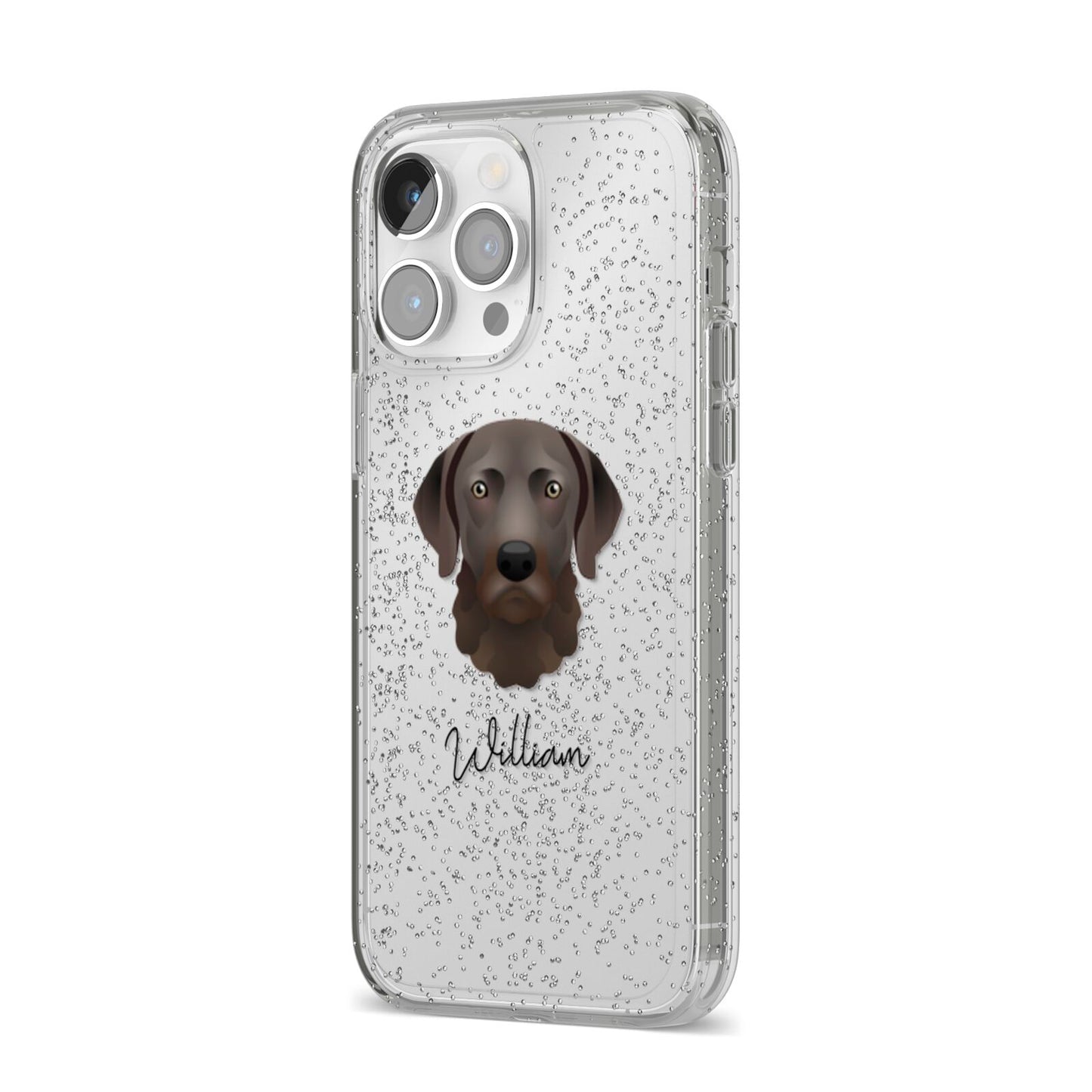 Chesapeake Bay Retriever Personalised iPhone 14 Pro Max Glitter Tough Case Silver Angled Image