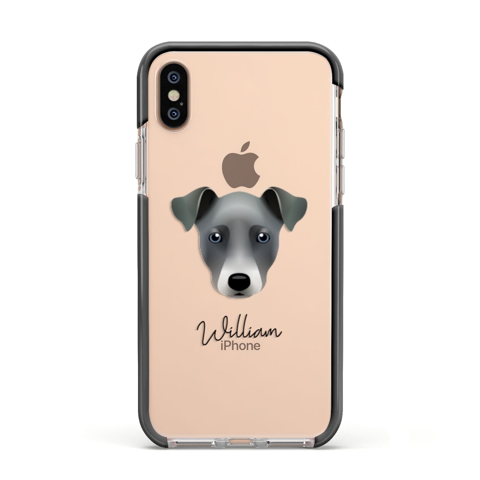 Chi Staffy Bull Personalised Apple iPhone Xs Impact Case Black Edge on Gold Phone