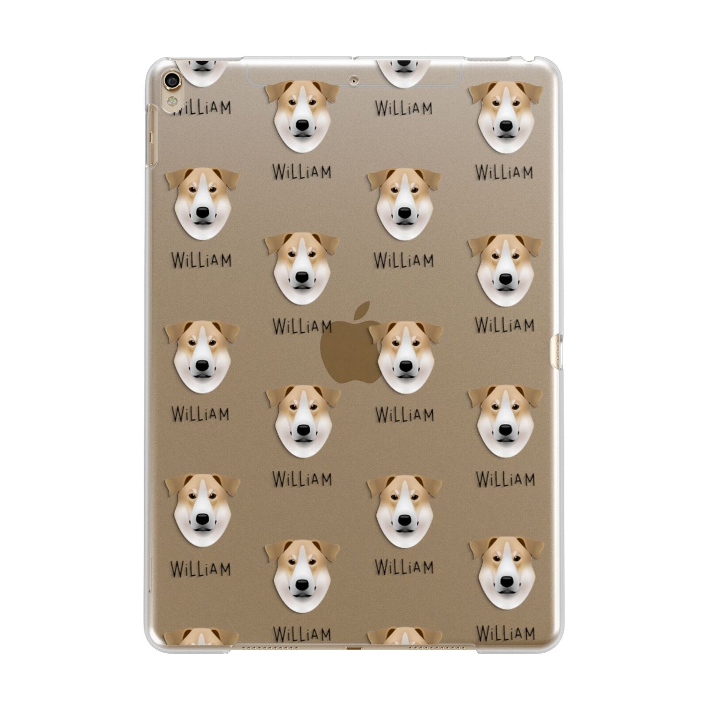 Chinook Icon with Name Apple iPad Gold Case