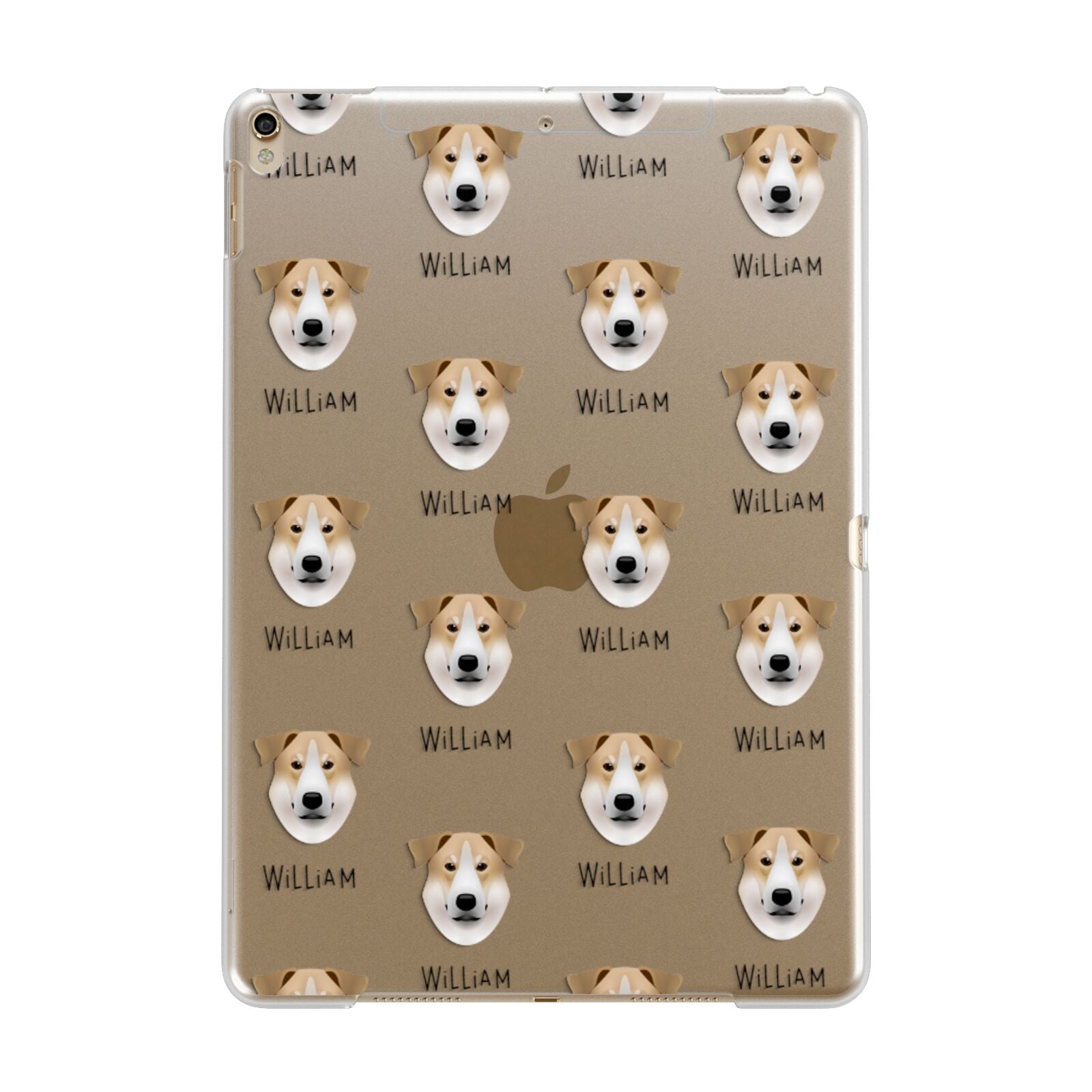 Chinook Icon with Name Apple iPad Gold Case