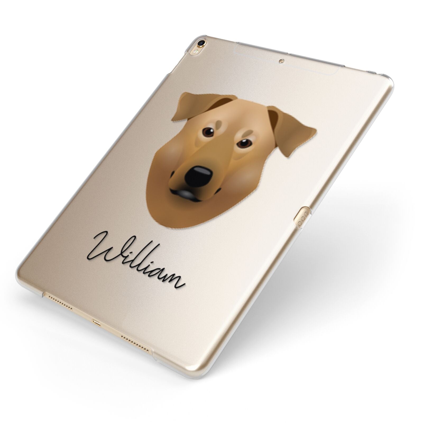 Chinook Personalised Apple iPad Case on Gold iPad Side View
