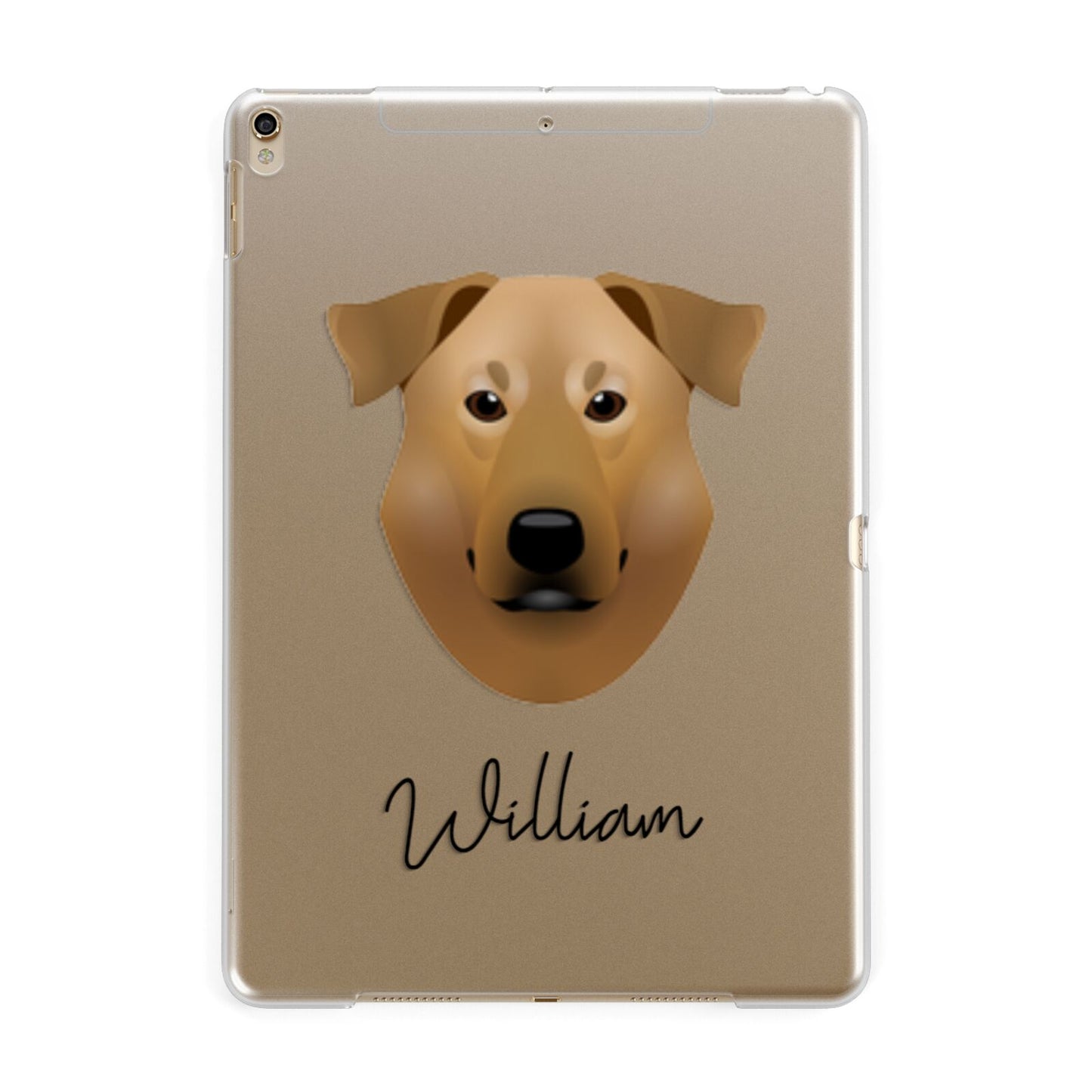 Chinook Personalised Apple iPad Gold Case