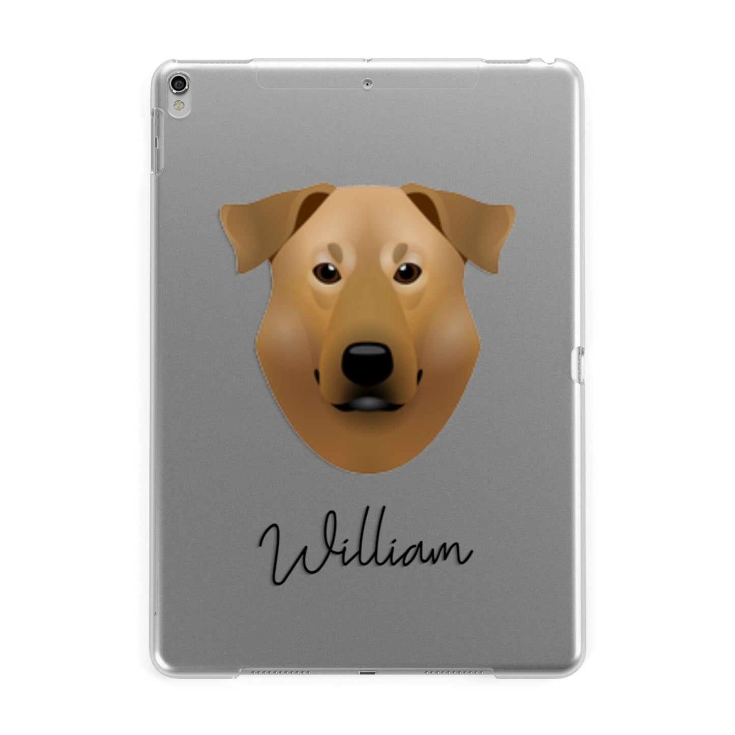 Chinook Personalised Apple iPad Silver Case