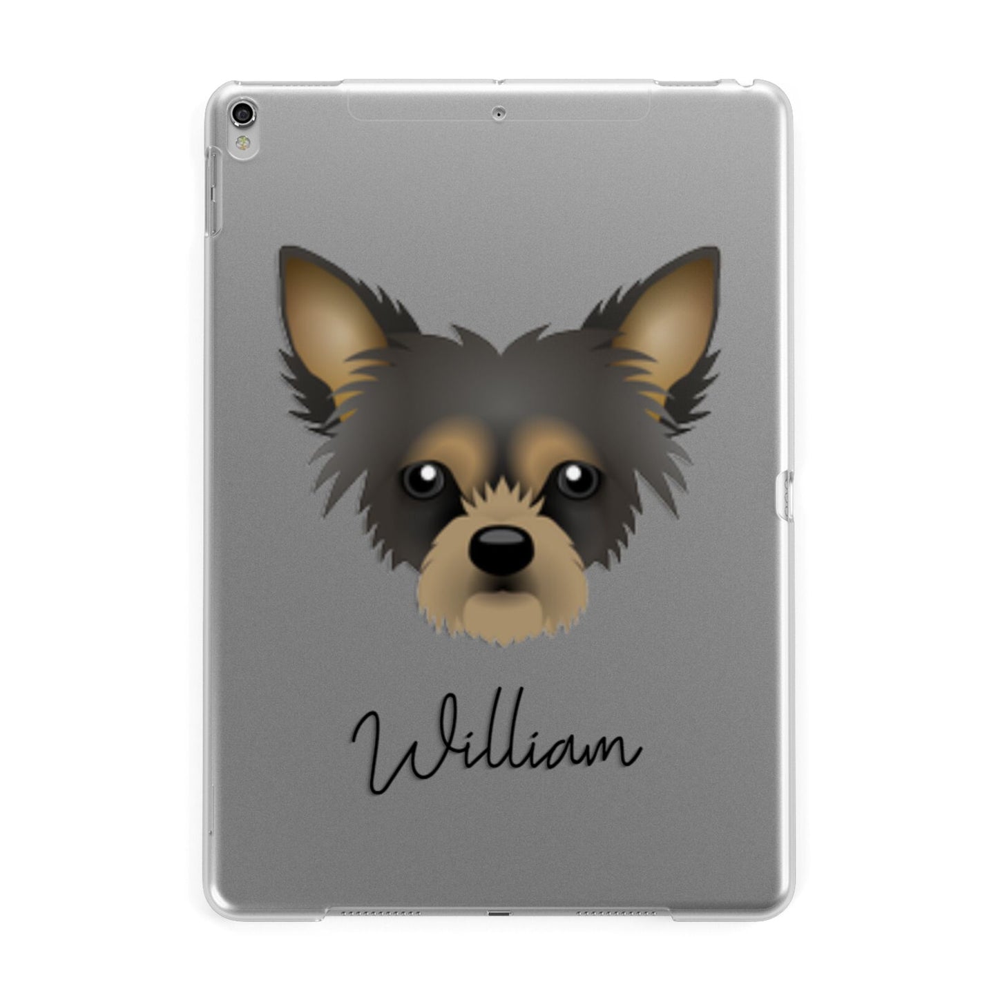 Chipoo Personalised Apple iPad Silver Case