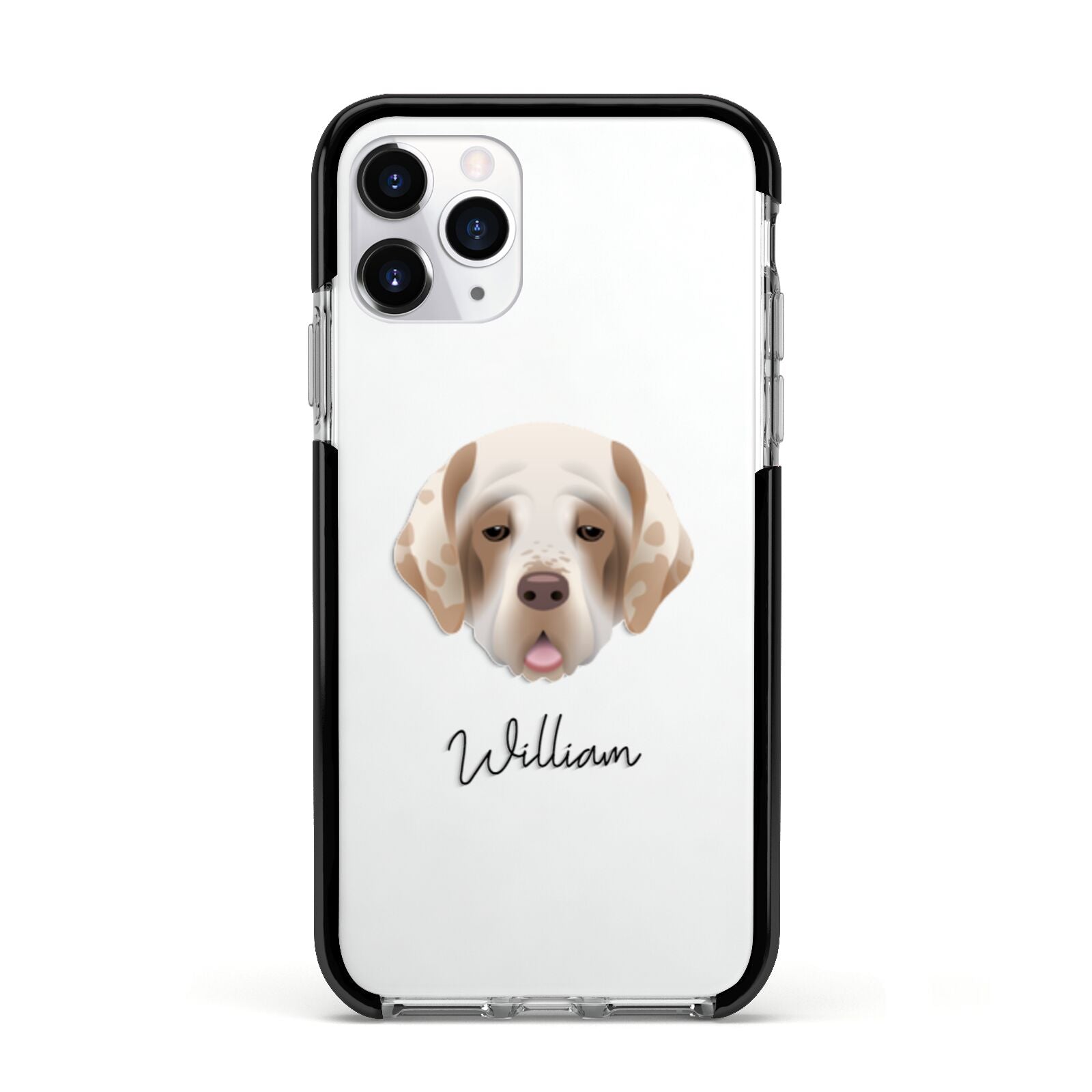 Cirneco Dell Etna Personalised Apple iPhone 11 Pro in Silver with Black Impact Case