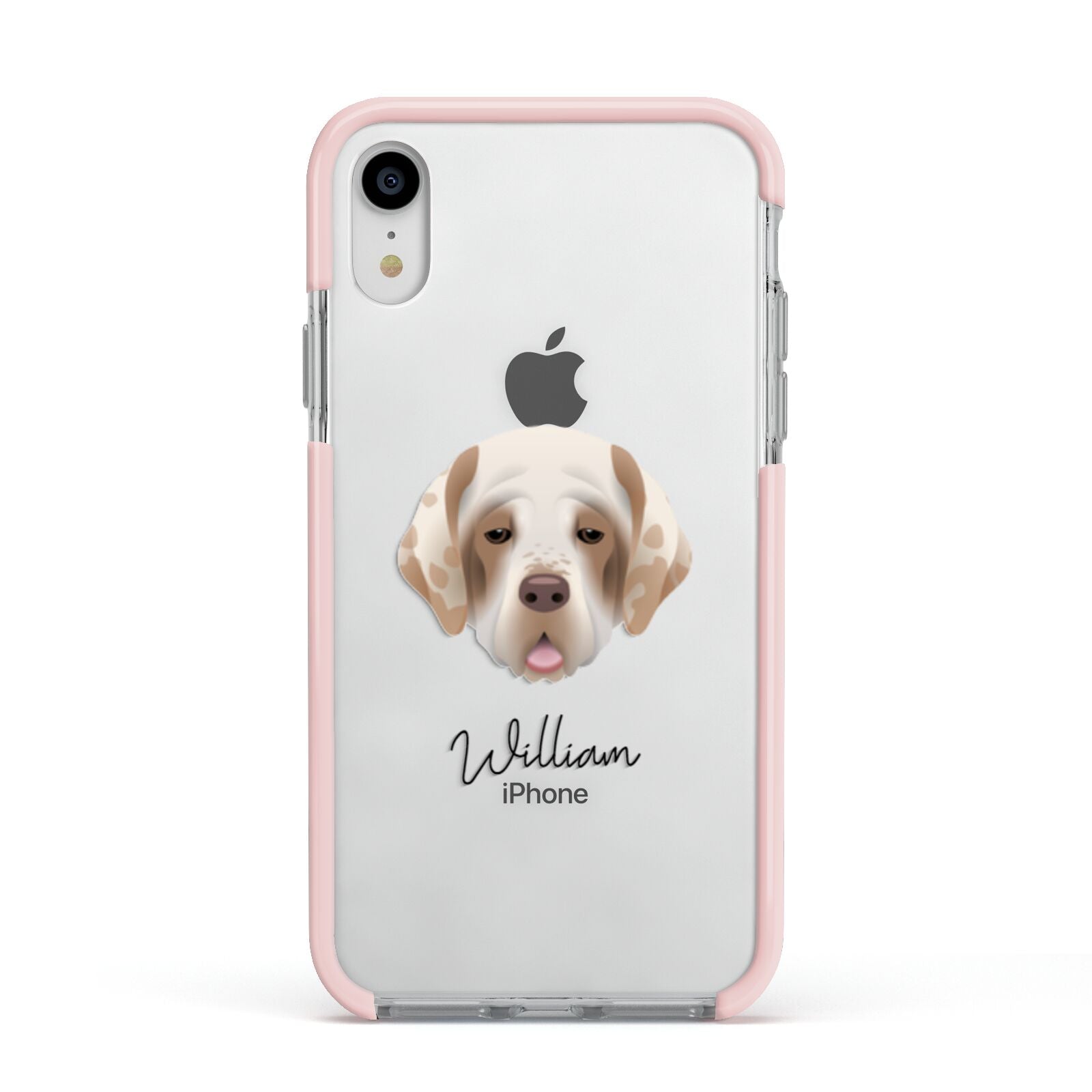 Cirneco Dell Etna Personalised Apple iPhone XR Impact Case Pink Edge on Silver Phone