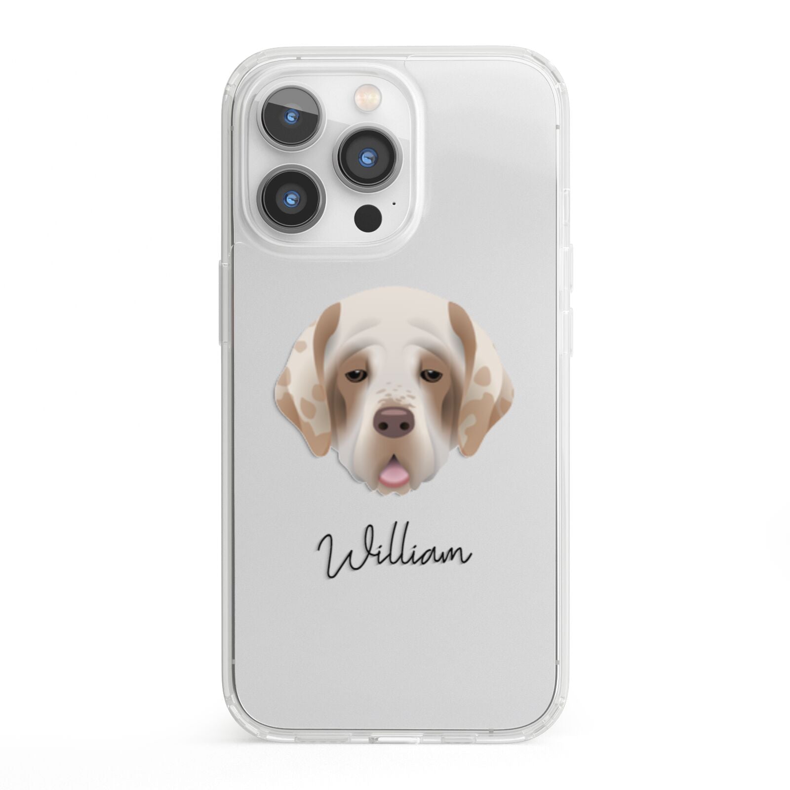 Cirneco Dell Etna Personalised iPhone 13 Pro Clear Bumper Case