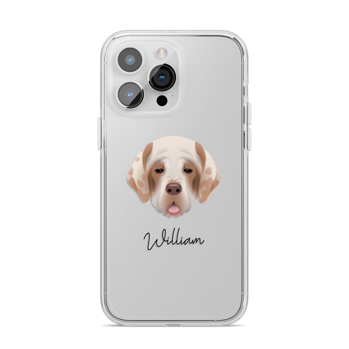 Cirneco Dell Etna Personalised iPhone 14 Pro Max Clear Tough Case Silver