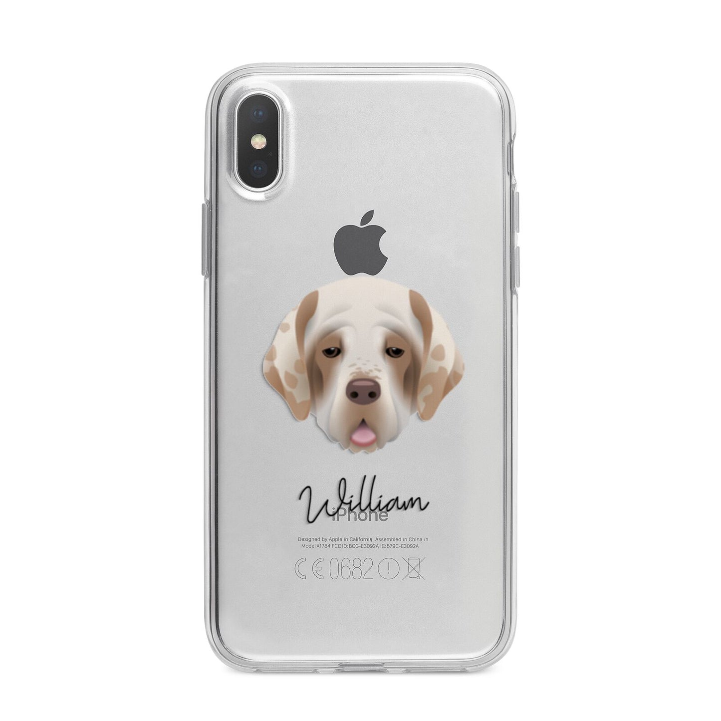 Cirneco Dell Etna Personalised iPhone X Bumper Case on Silver iPhone Alternative Image 1