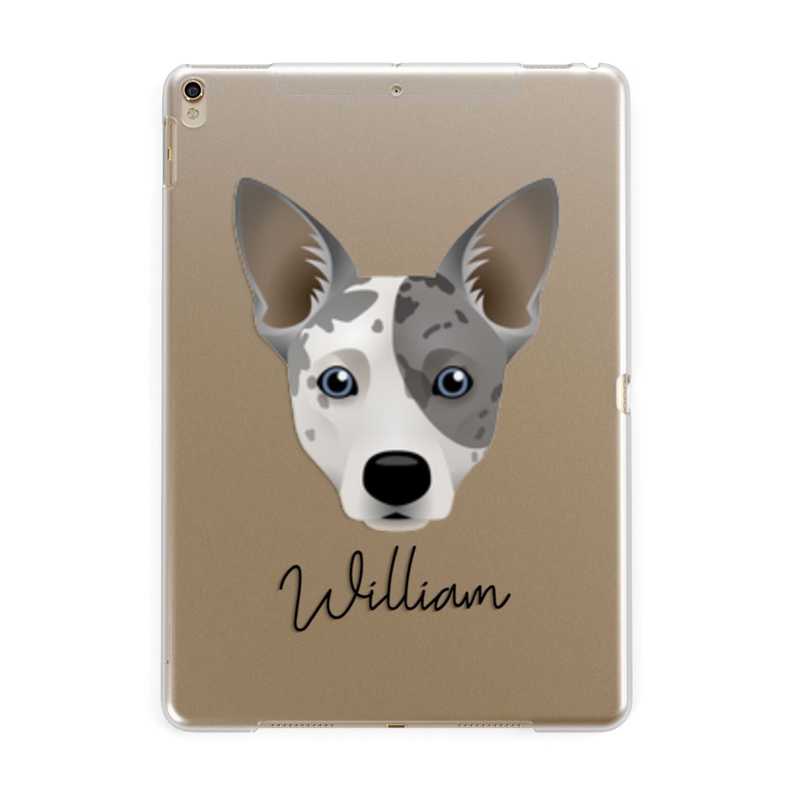 Cojack Personalised Apple iPad Gold Case