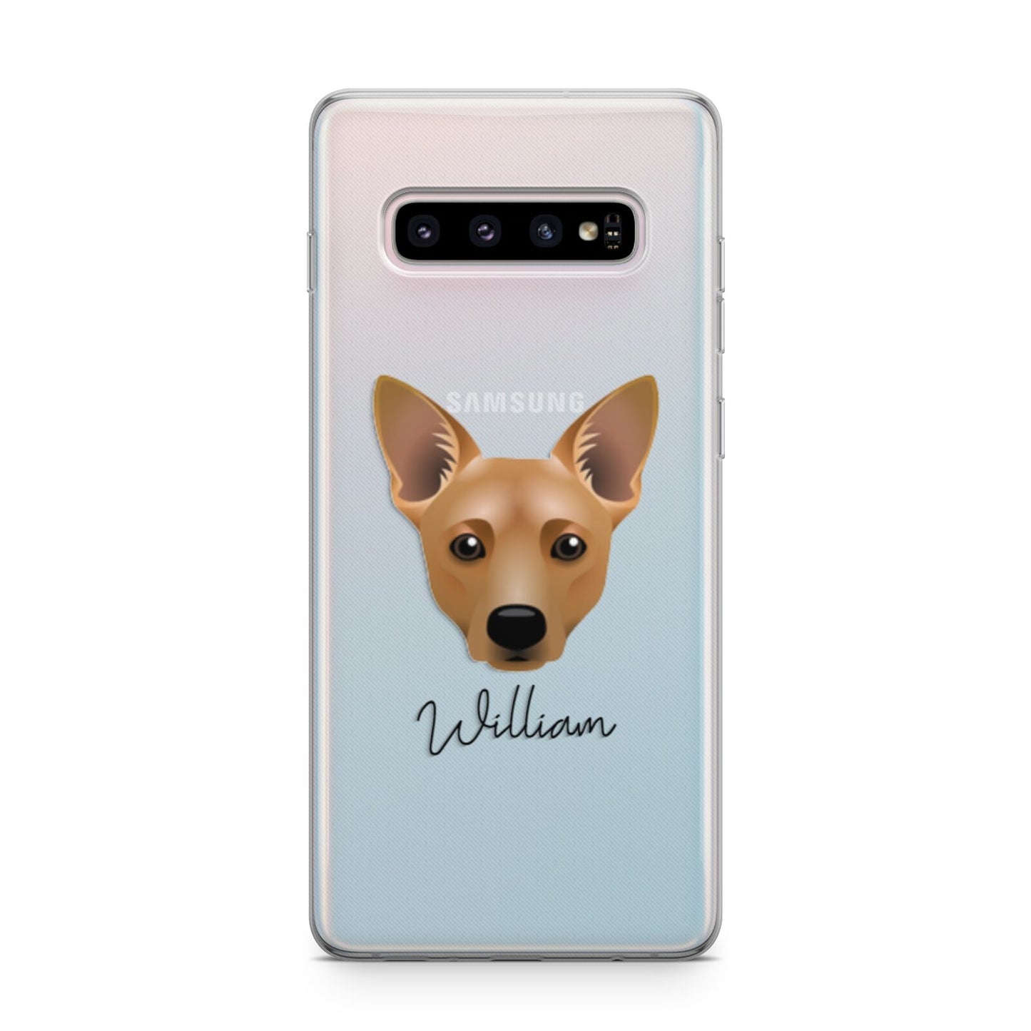 Cojack Personalised Samsung Galaxy S10 Plus Case