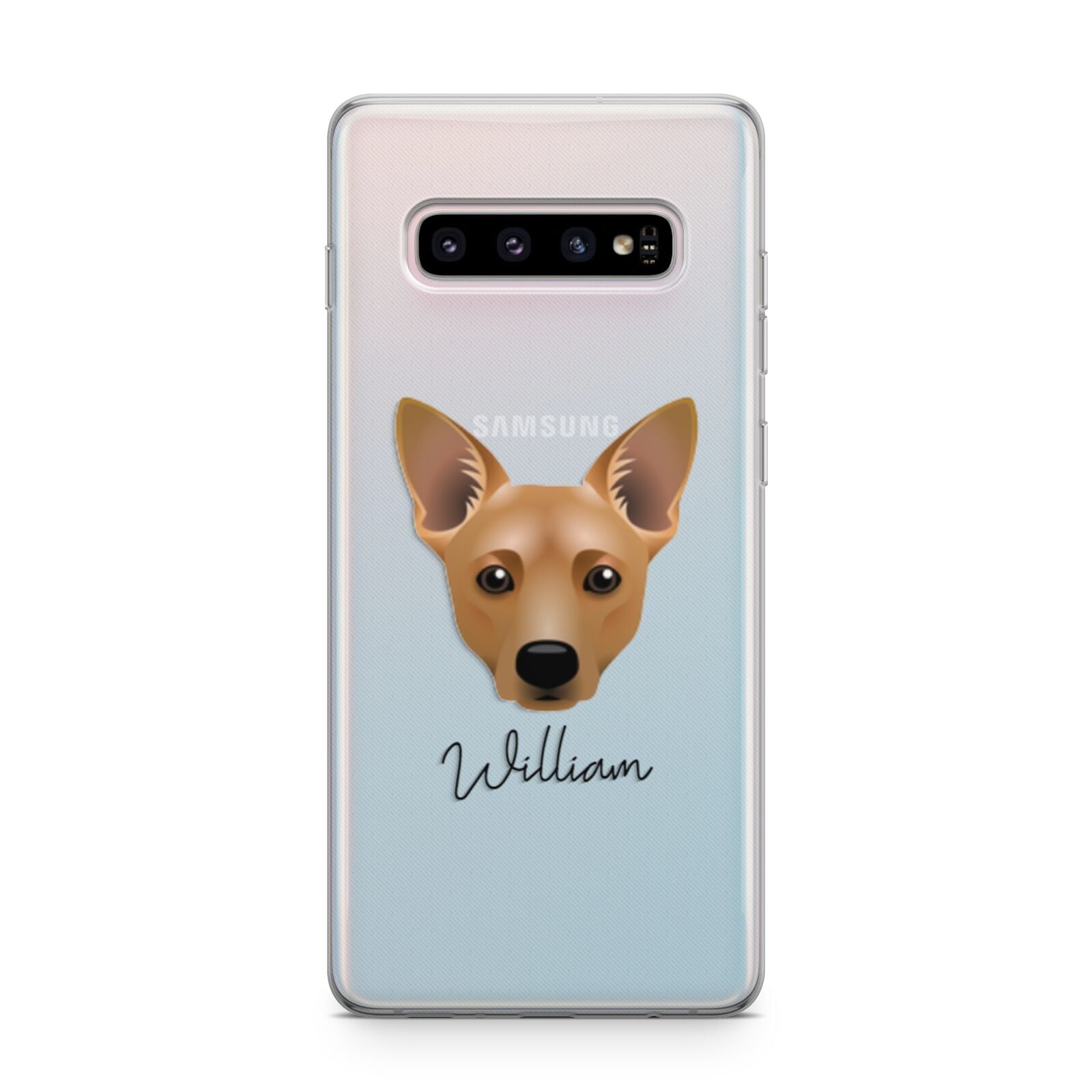 Cojack Personalised Samsung Galaxy S10 Plus Case