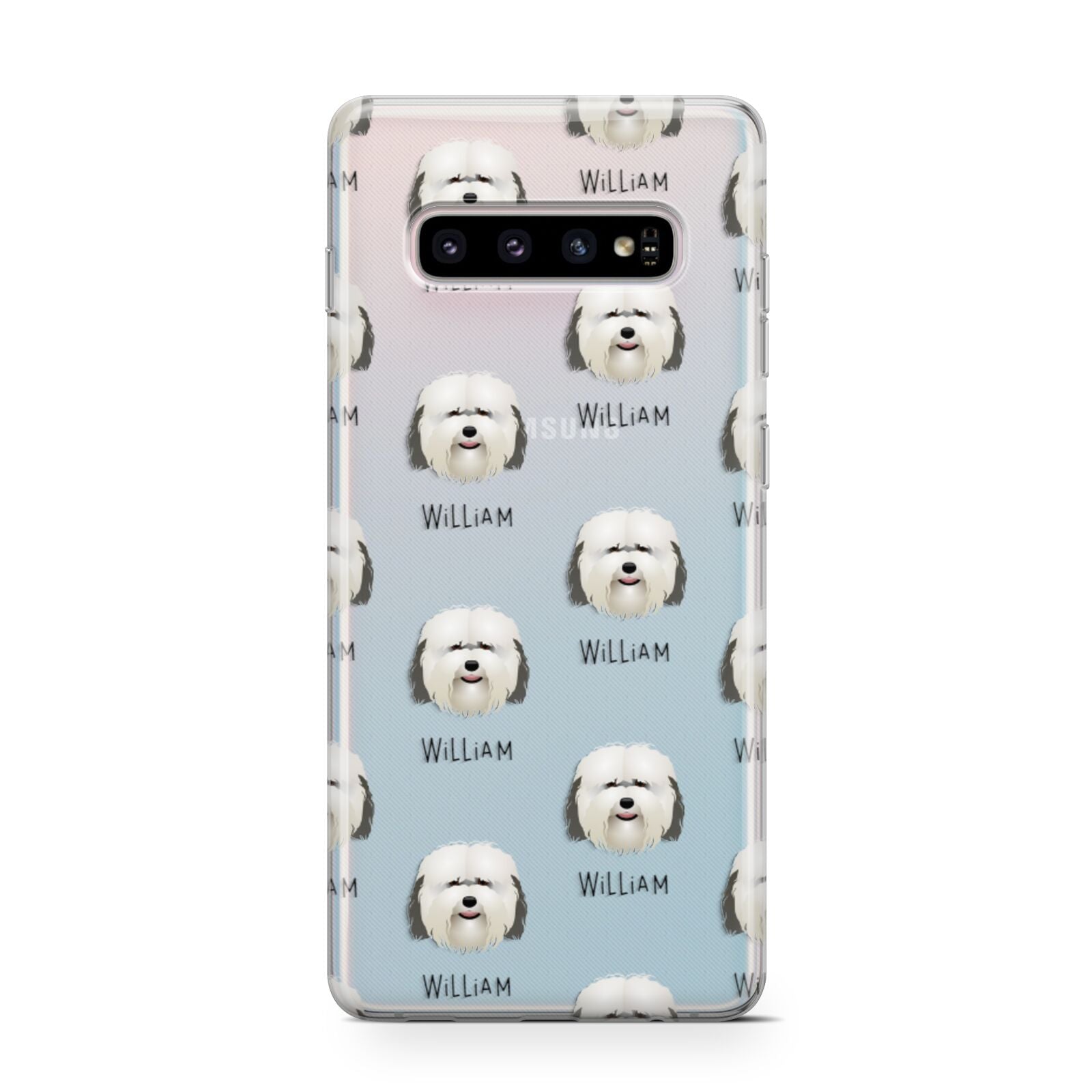Coton De Tulear Icon with Name Samsung Galaxy S10 Case