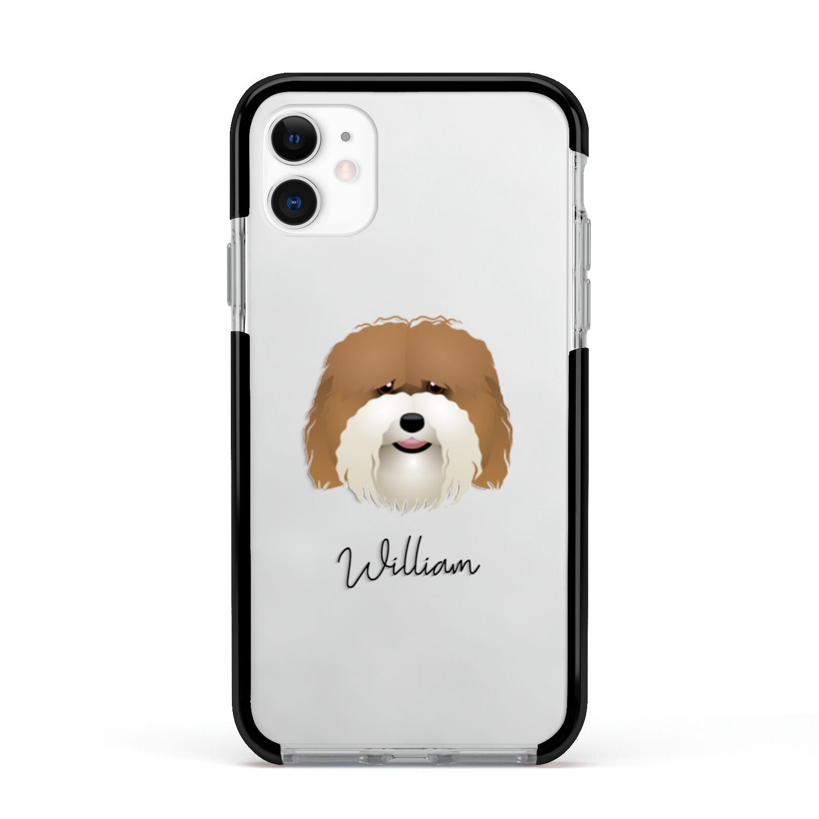 Coton De Tulear Personalised Apple iPhone 11 in White with Black Impact Case