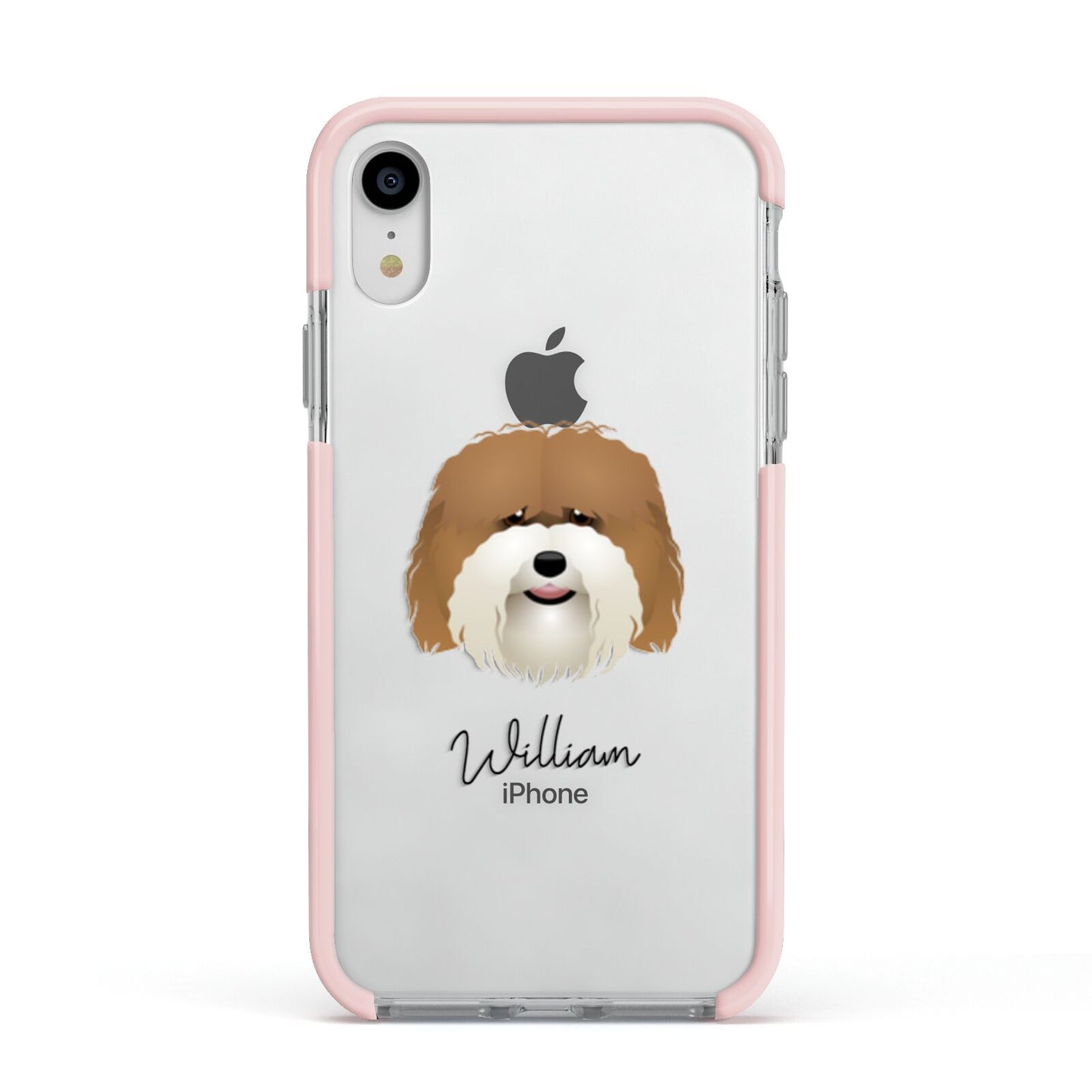 Coton De Tulear Personalised Apple iPhone XR Impact Case Pink Edge on Silver Phone