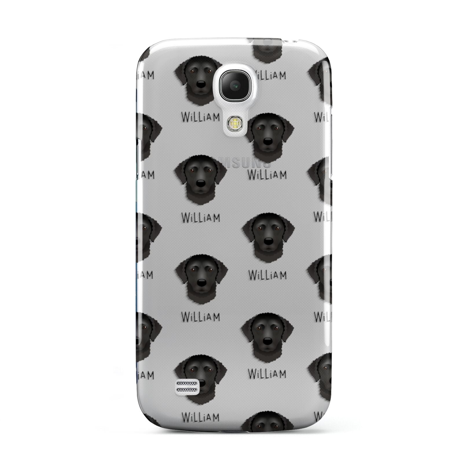 Curly Coated Retriever Icon with Name Samsung Galaxy S4 Mini Case