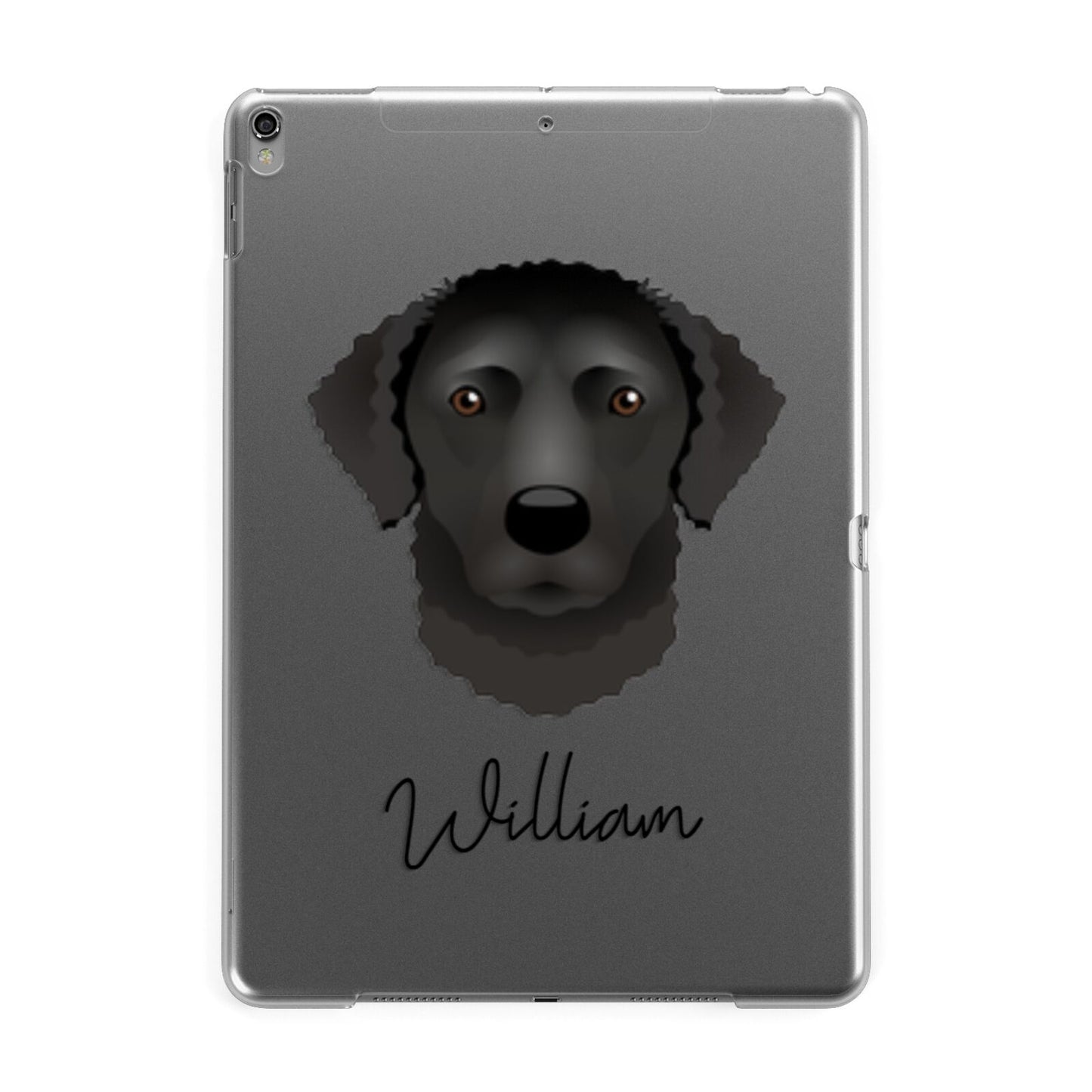 Curly Coated Retriever Personalised Apple iPad Grey Case