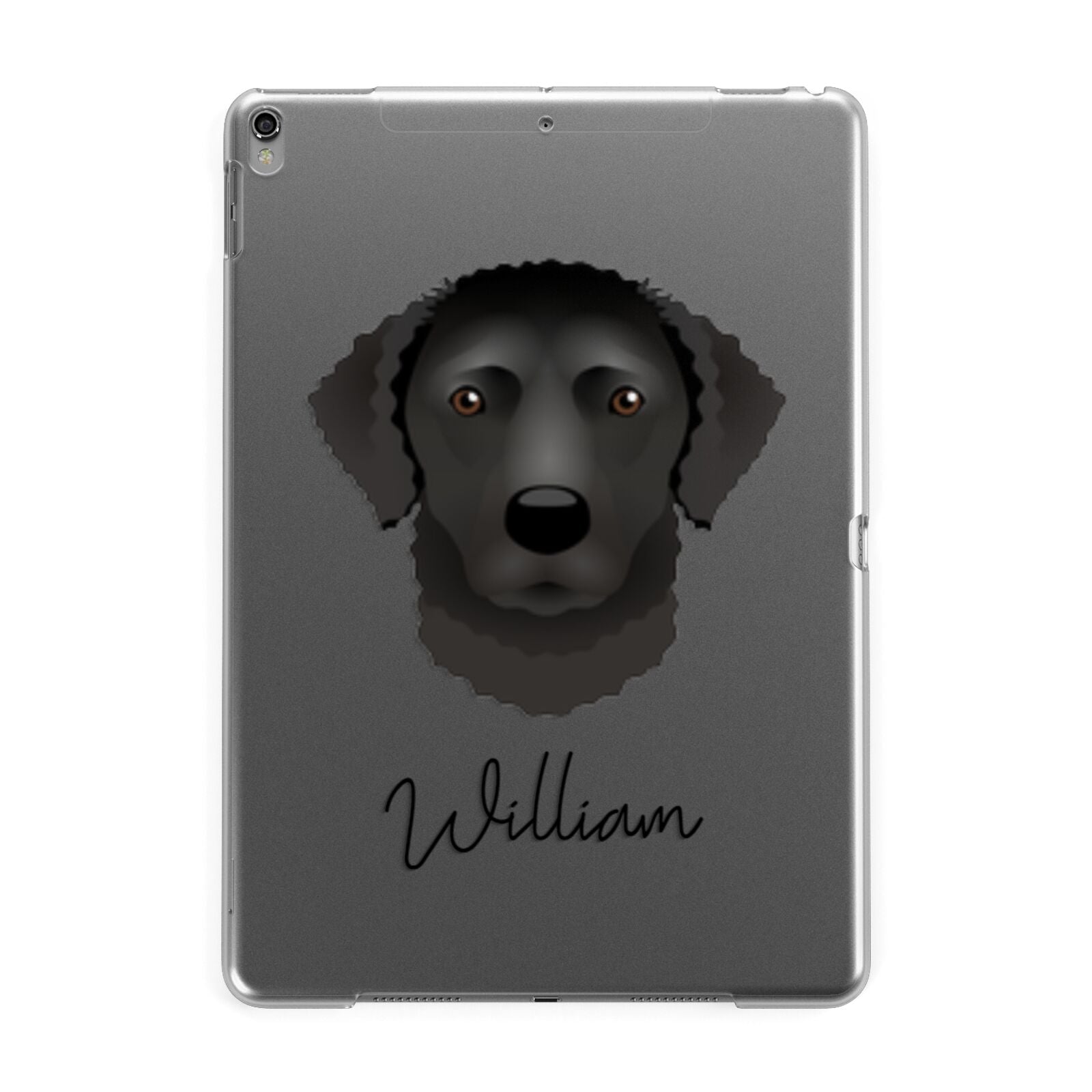 Curly Coated Retriever Personalised Apple iPad Grey Case