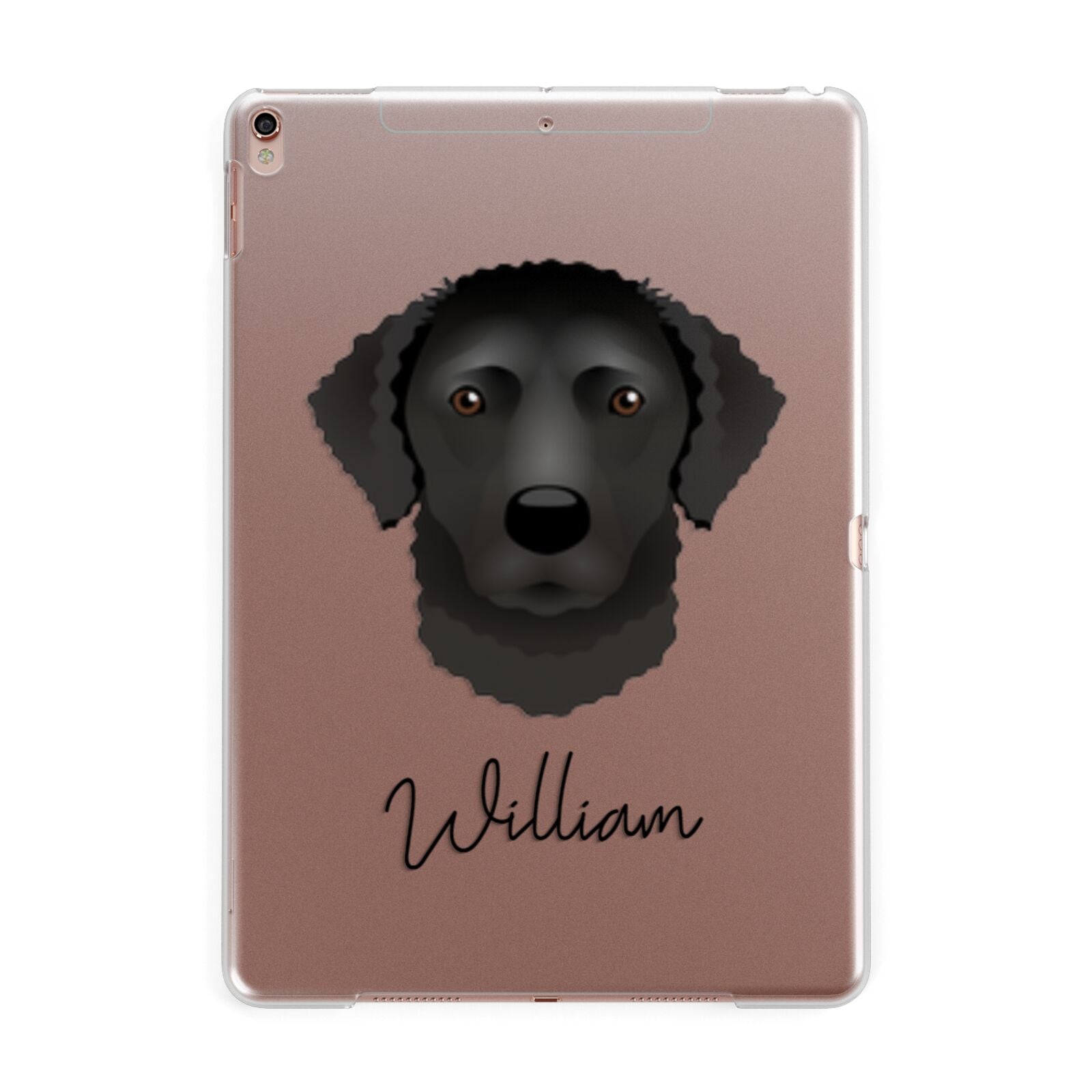Curly Coated Retriever Personalised Apple iPad Rose Gold Case