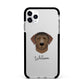 Curly Coated Retriever Personalised Apple iPhone 11 Pro Max in Silver with Black Impact Case