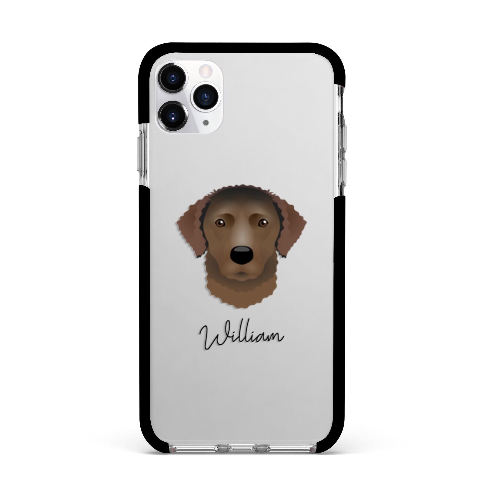 Curly Coated Retriever Personalised Apple iPhone 11 Pro Max in Silver with Black Impact Case