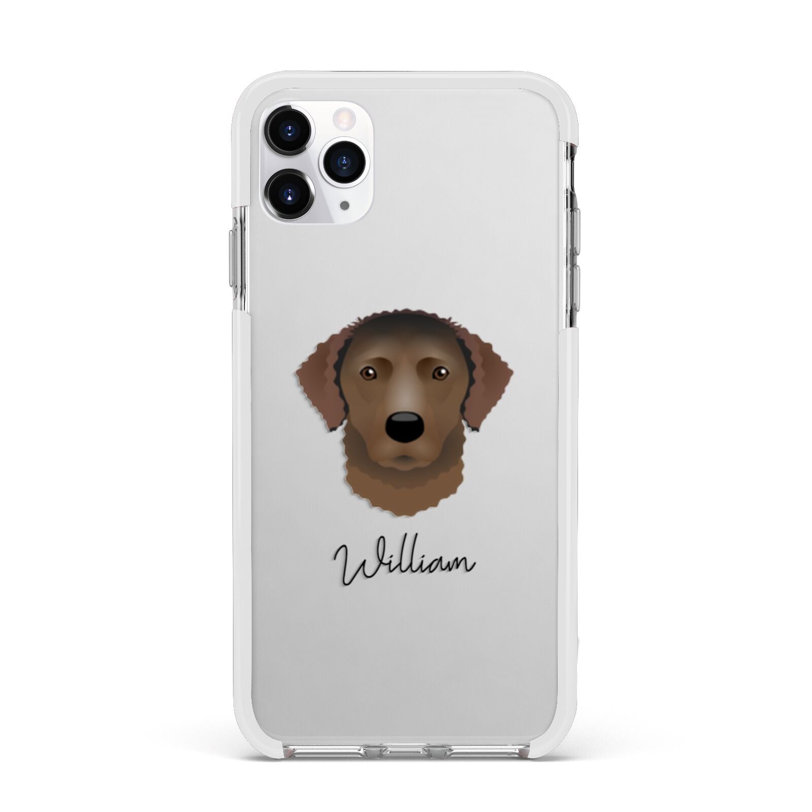 Curly Coated Retriever Personalised Apple iPhone 11 Pro Max in Silver with White Impact Case