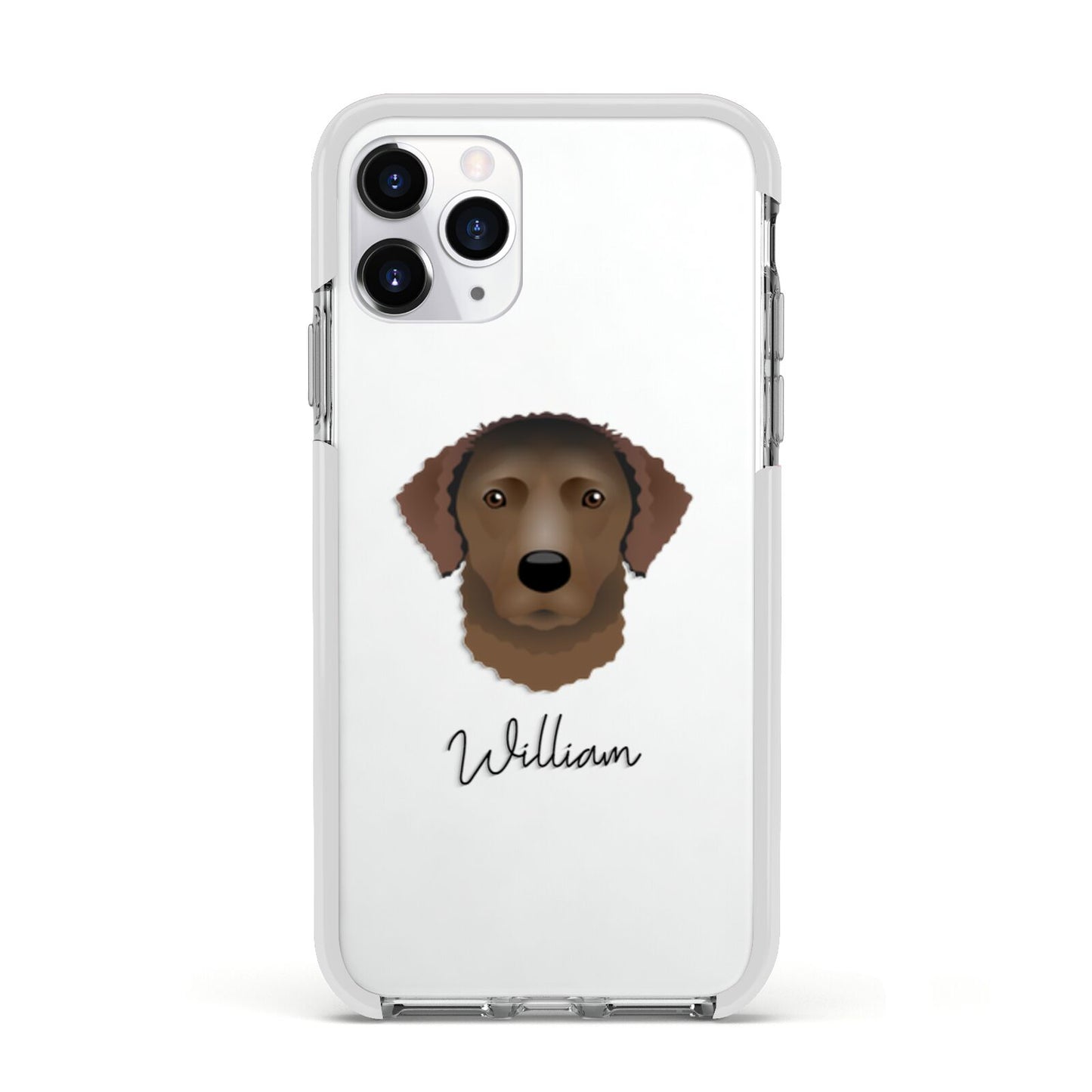 Curly Coated Retriever Personalised Apple iPhone 11 Pro in Silver with White Impact Case