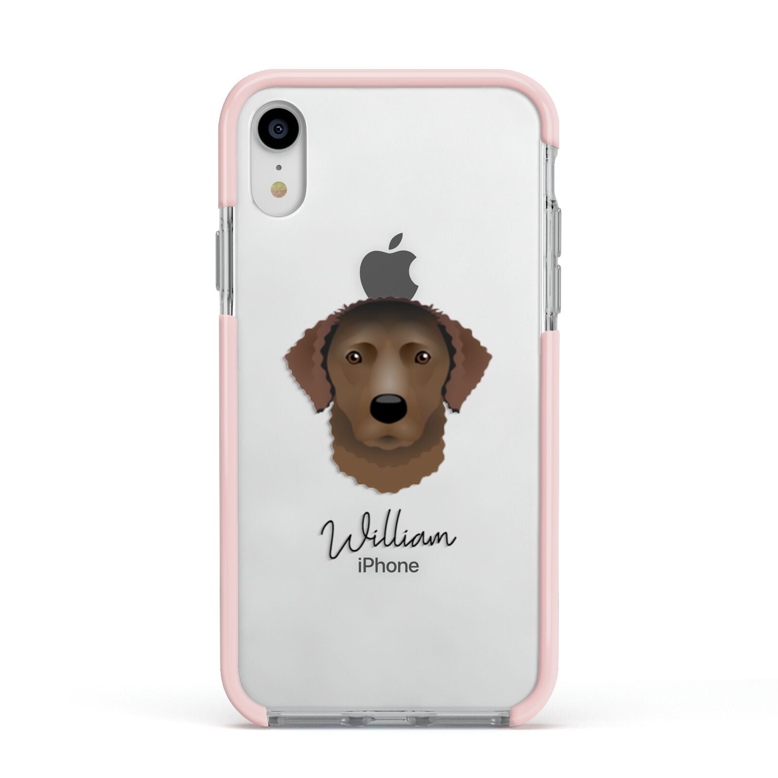 Curly Coated Retriever Personalised Apple iPhone XR Impact Case Pink Edge on Silver Phone