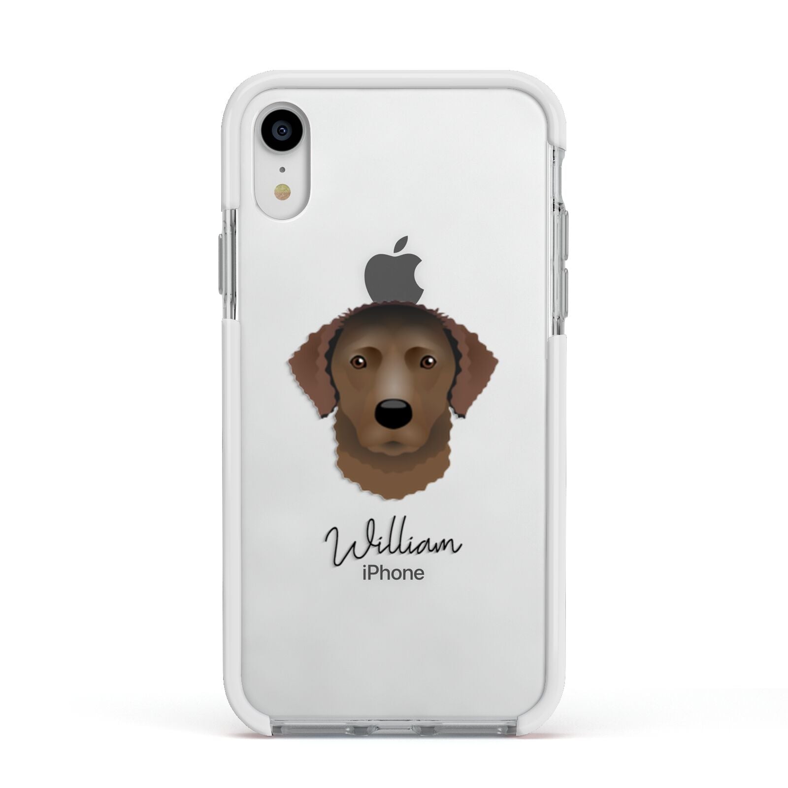 Curly Coated Retriever Personalised Apple iPhone XR Impact Case White Edge on Silver Phone