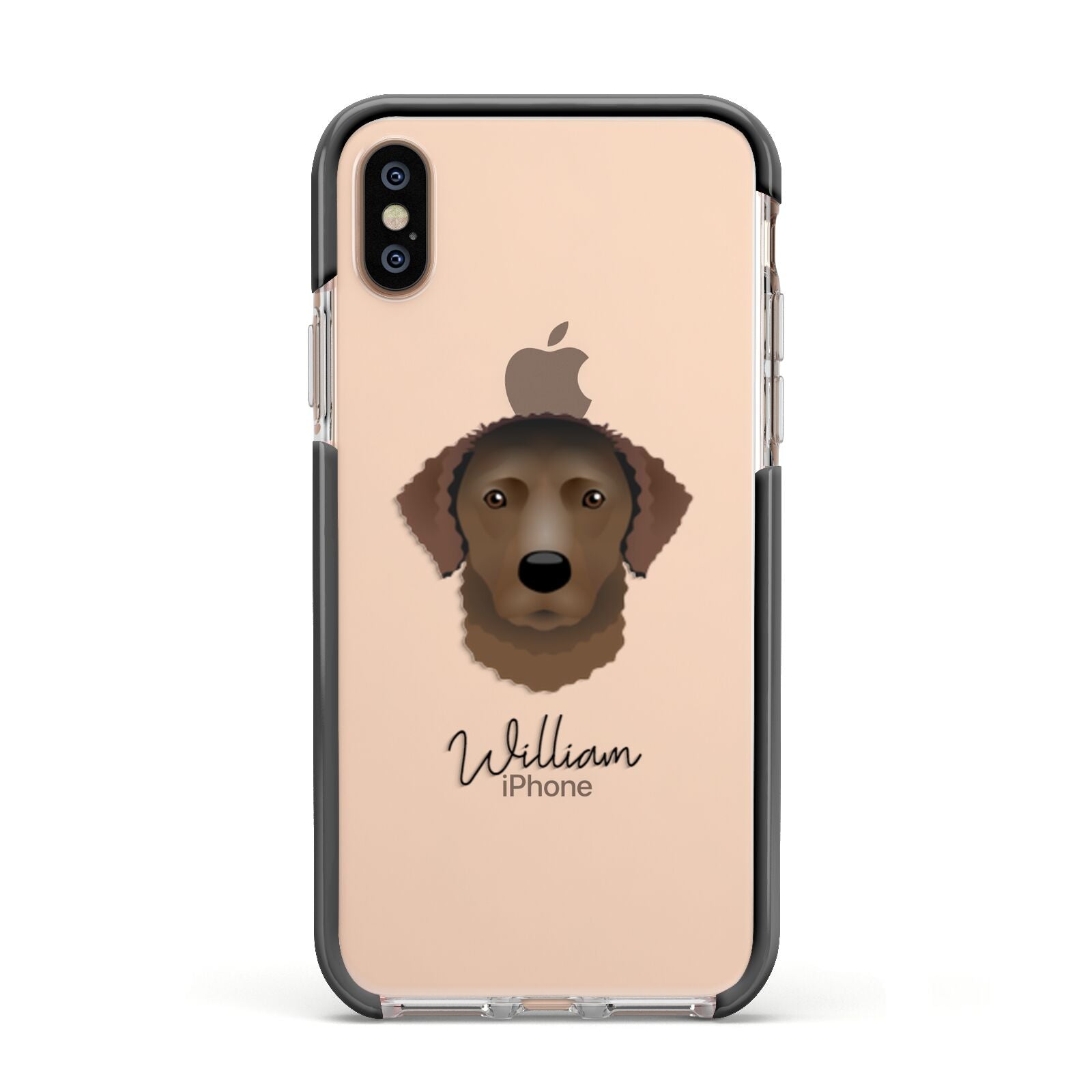 Curly Coated Retriever Personalised Apple iPhone Xs Impact Case Black Edge on Gold Phone