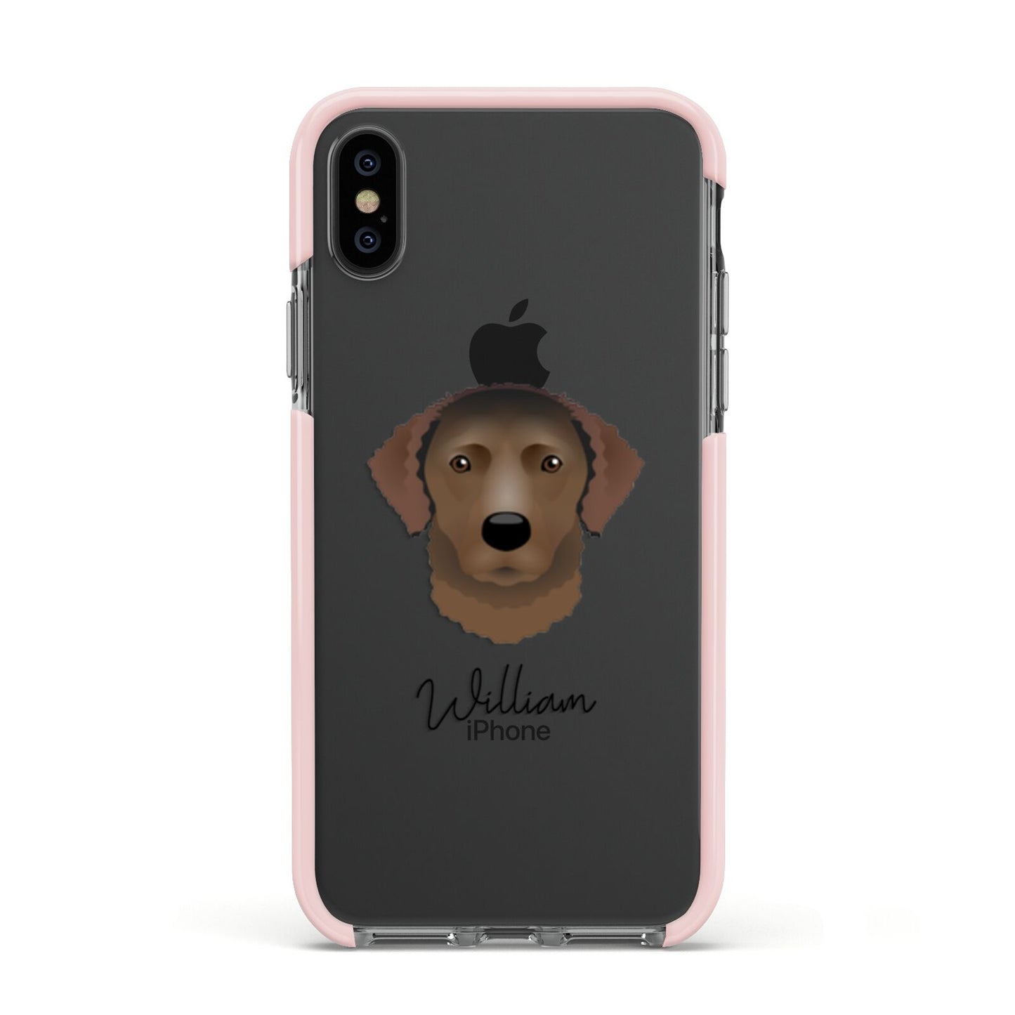 Curly Coated Retriever Personalised Apple iPhone Xs Impact Case Pink Edge on Black Phone