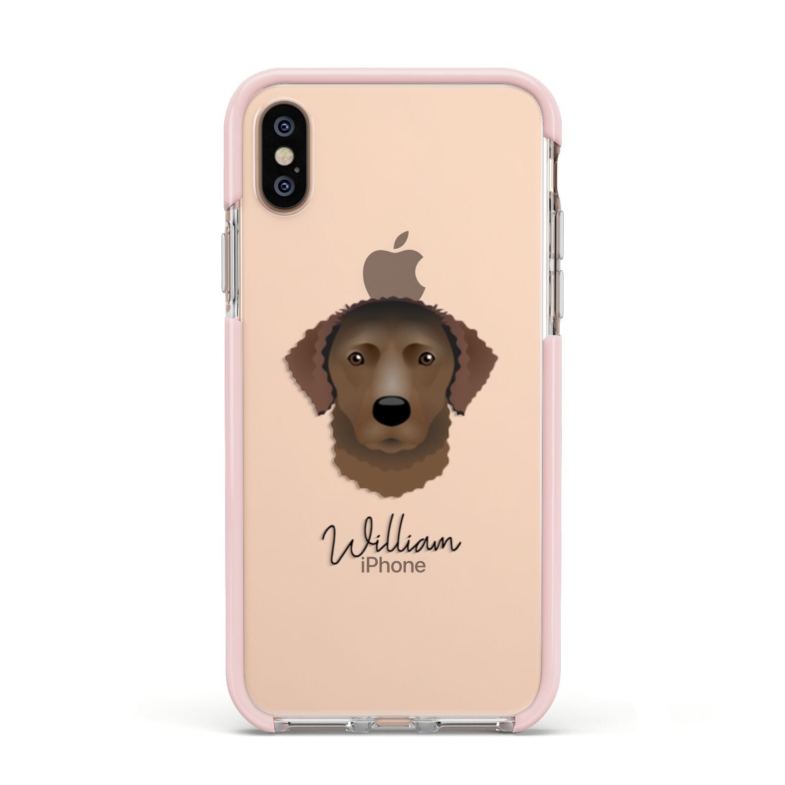 Curly Coated Retriever Personalised Apple iPhone Xs Impact Case Pink Edge on Gold Phone