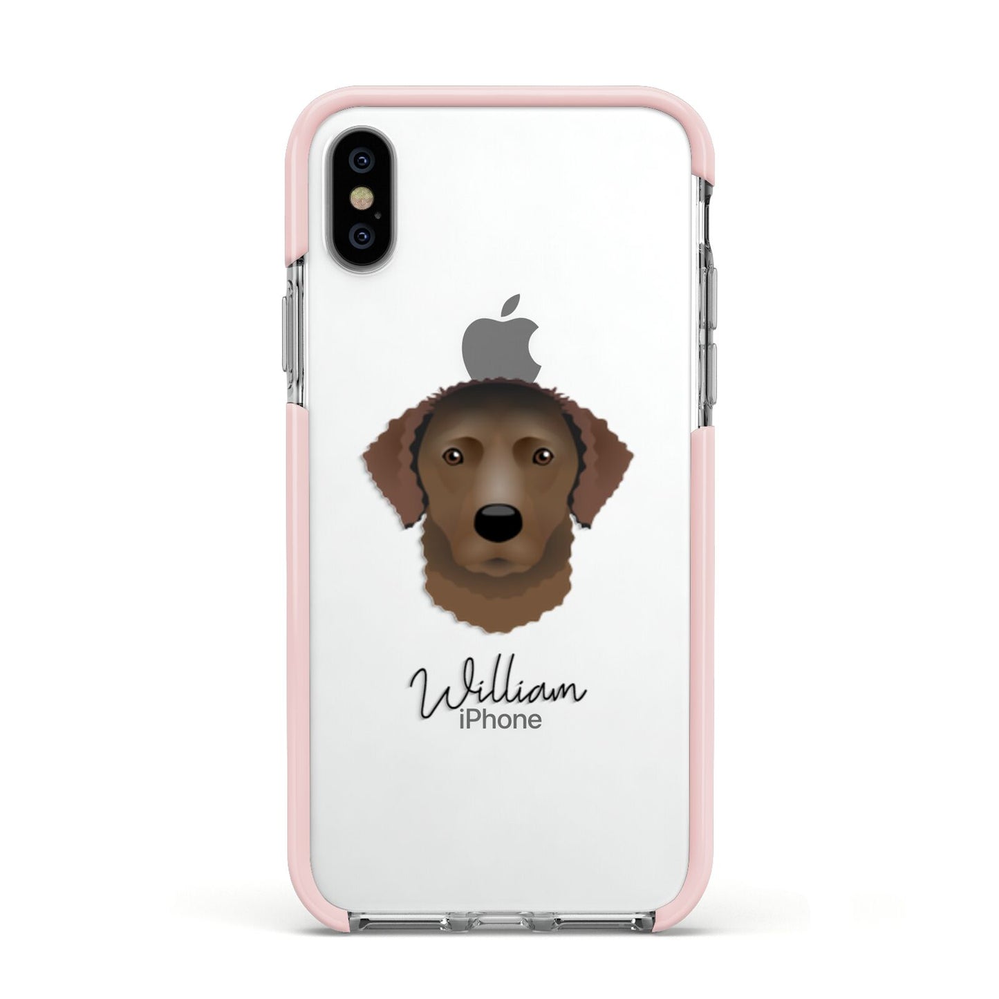 Curly Coated Retriever Personalised Apple iPhone Xs Impact Case Pink Edge on Silver Phone