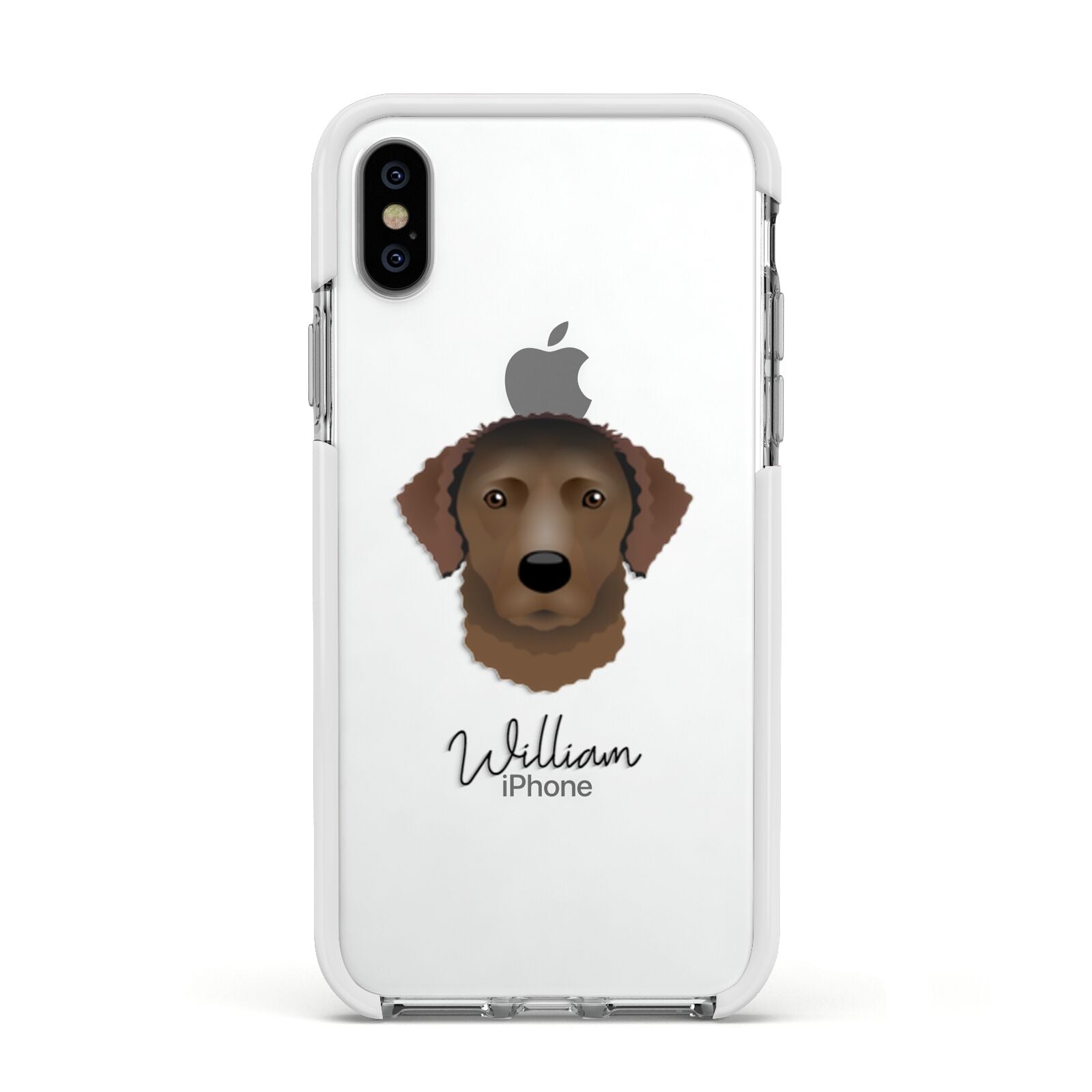 Curly Coated Retriever Personalised Apple iPhone Xs Impact Case White Edge on Silver Phone