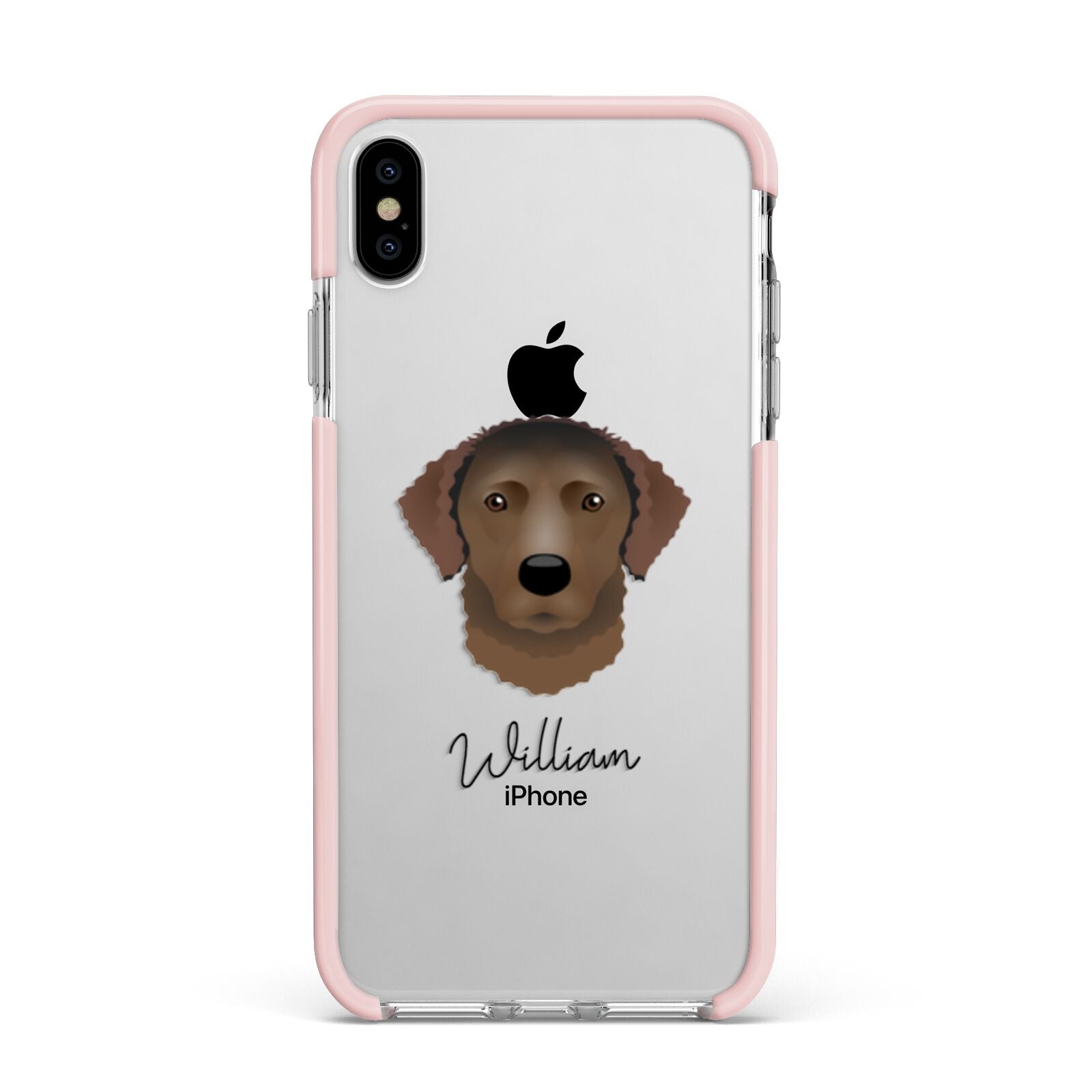 Curly Coated Retriever Personalised Apple iPhone Xs Max Impact Case Pink Edge on Silver Phone