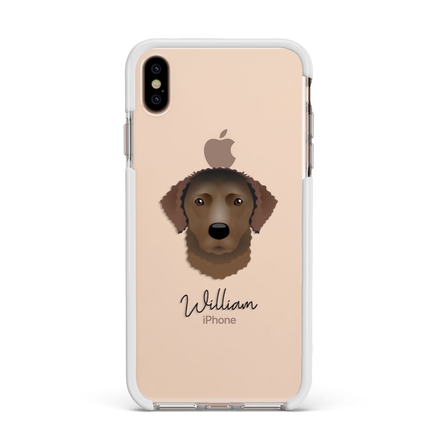 Curly Coated Retriever Personalised Apple iPhone Xs Max Impact Case White Edge on Gold Phone