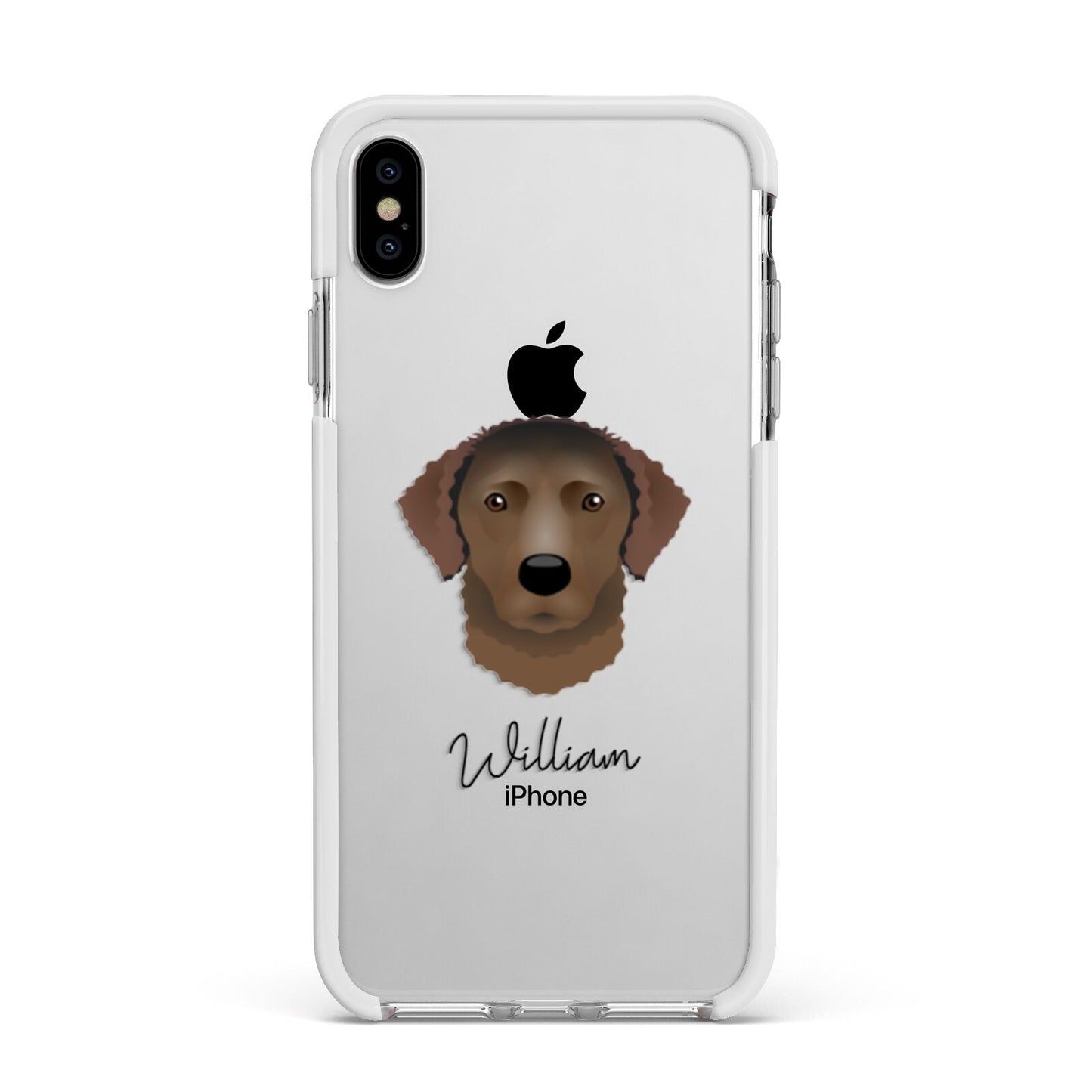 Curly Coated Retriever Personalised Apple iPhone Xs Max Impact Case White Edge on Silver Phone