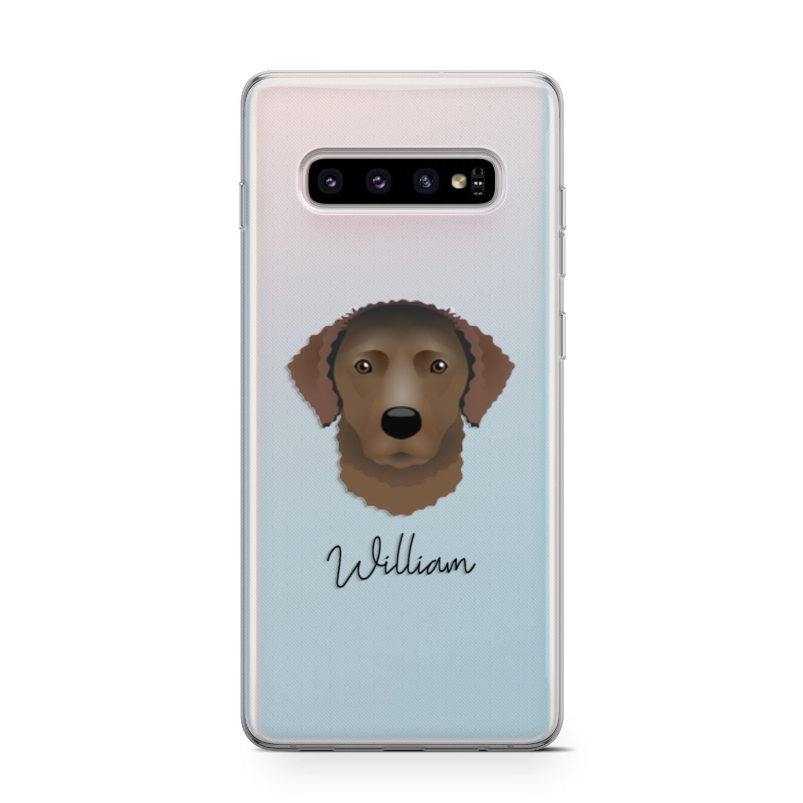Curly Coated Retriever Personalised Samsung Galaxy S10 Case
