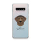 Curly Coated Retriever Personalised Samsung Galaxy S10 Plus Case