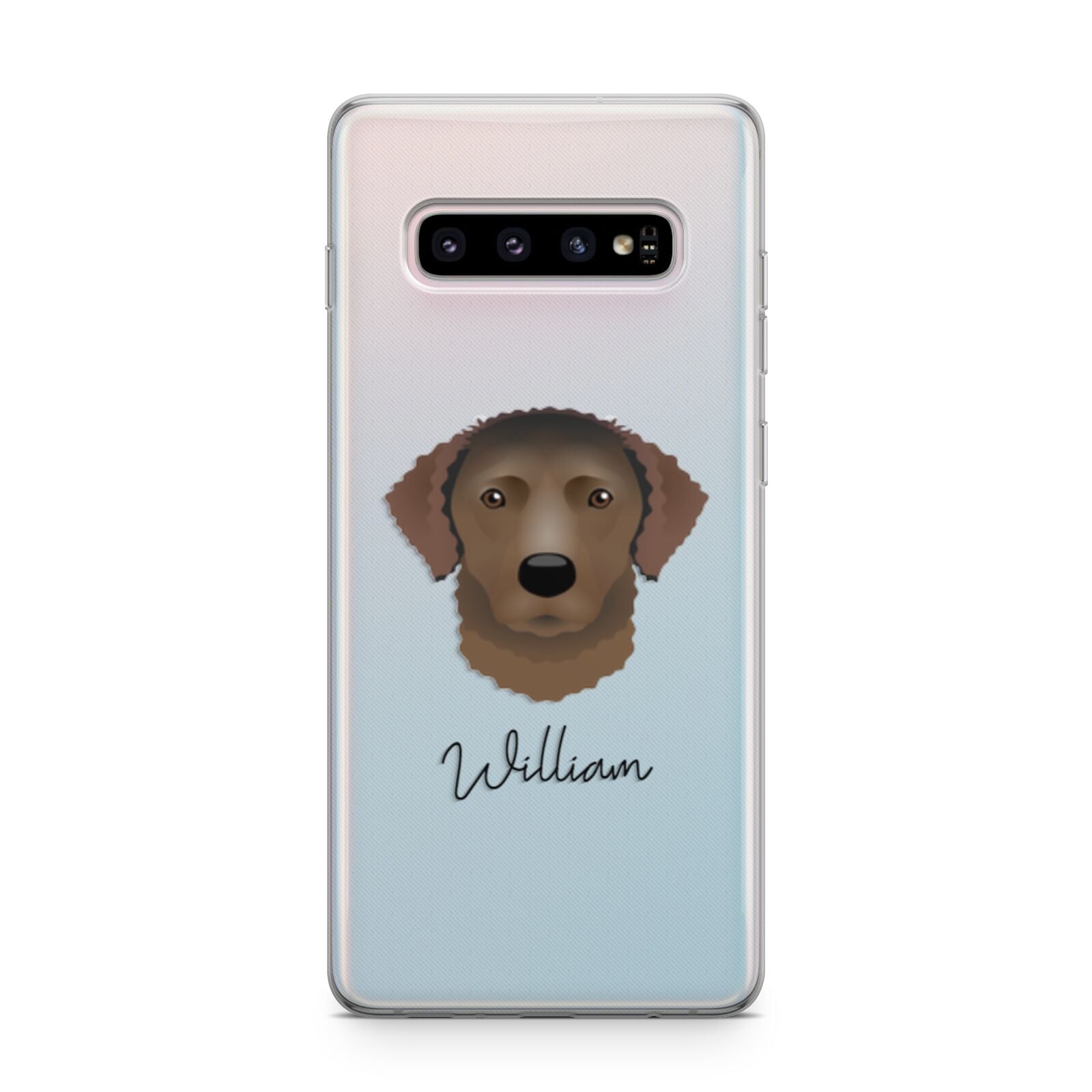Curly Coated Retriever Personalised Samsung Galaxy S10 Plus Case