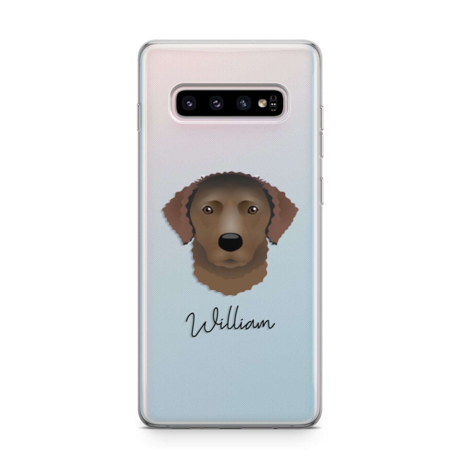 Curly Coated Retriever Personalised Samsung Galaxy S10 Plus Case