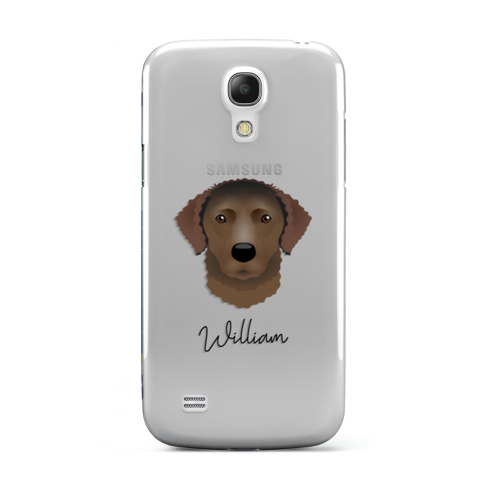 Curly Coated Retriever Personalised Samsung Galaxy S4 Mini Case