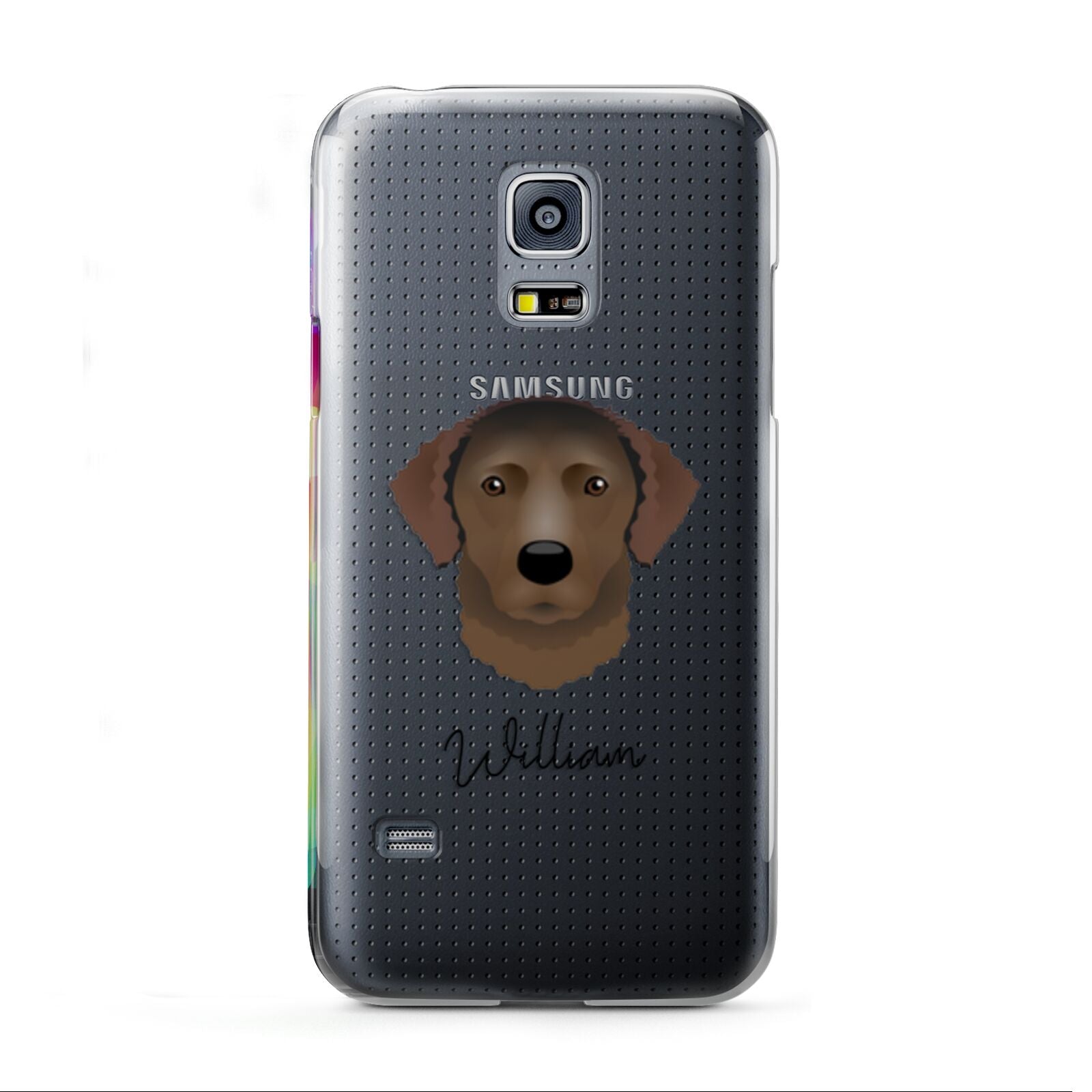 Curly Coated Retriever Personalised Samsung Galaxy S5 Mini Case