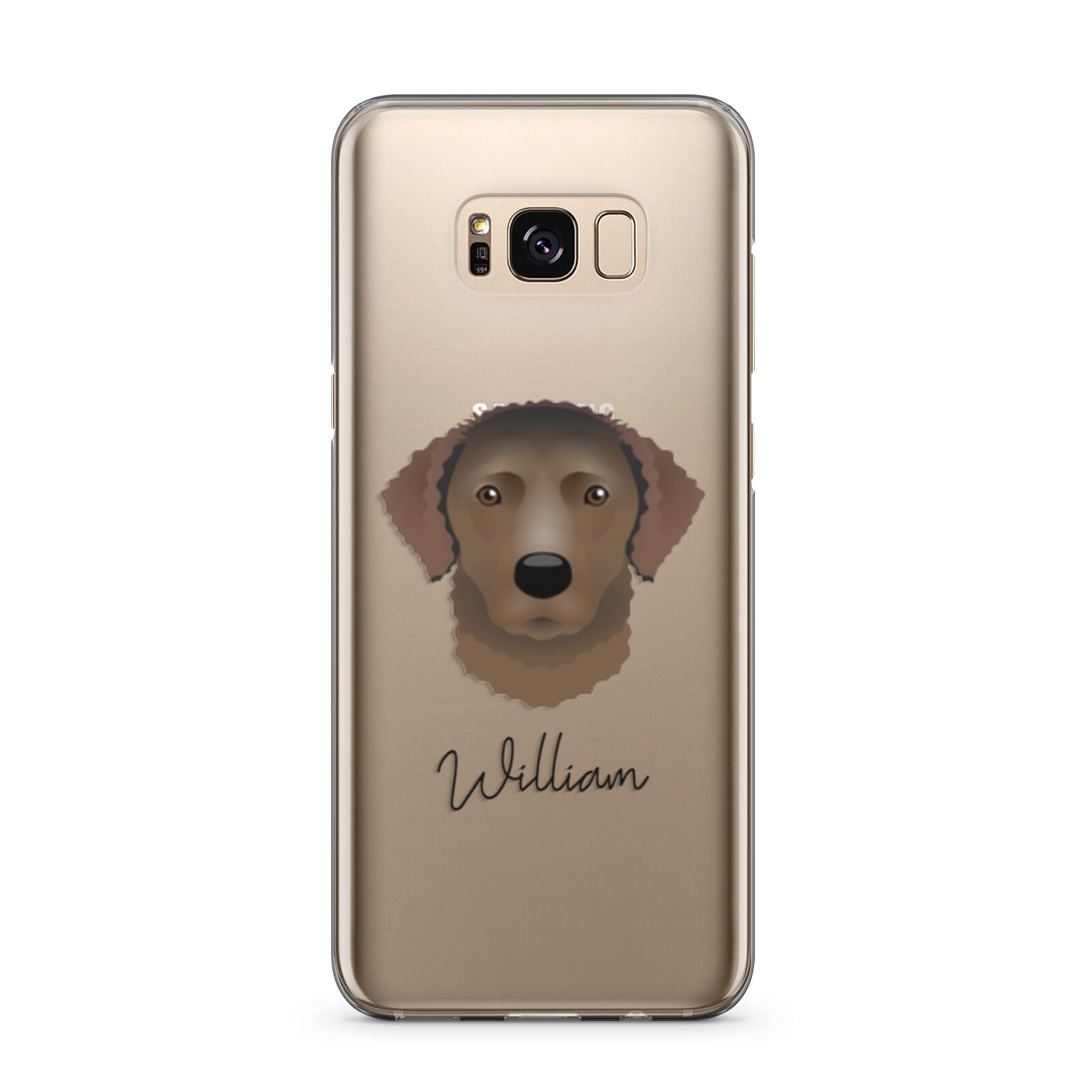 Curly Coated Retriever Personalised Samsung Galaxy S8 Plus Case